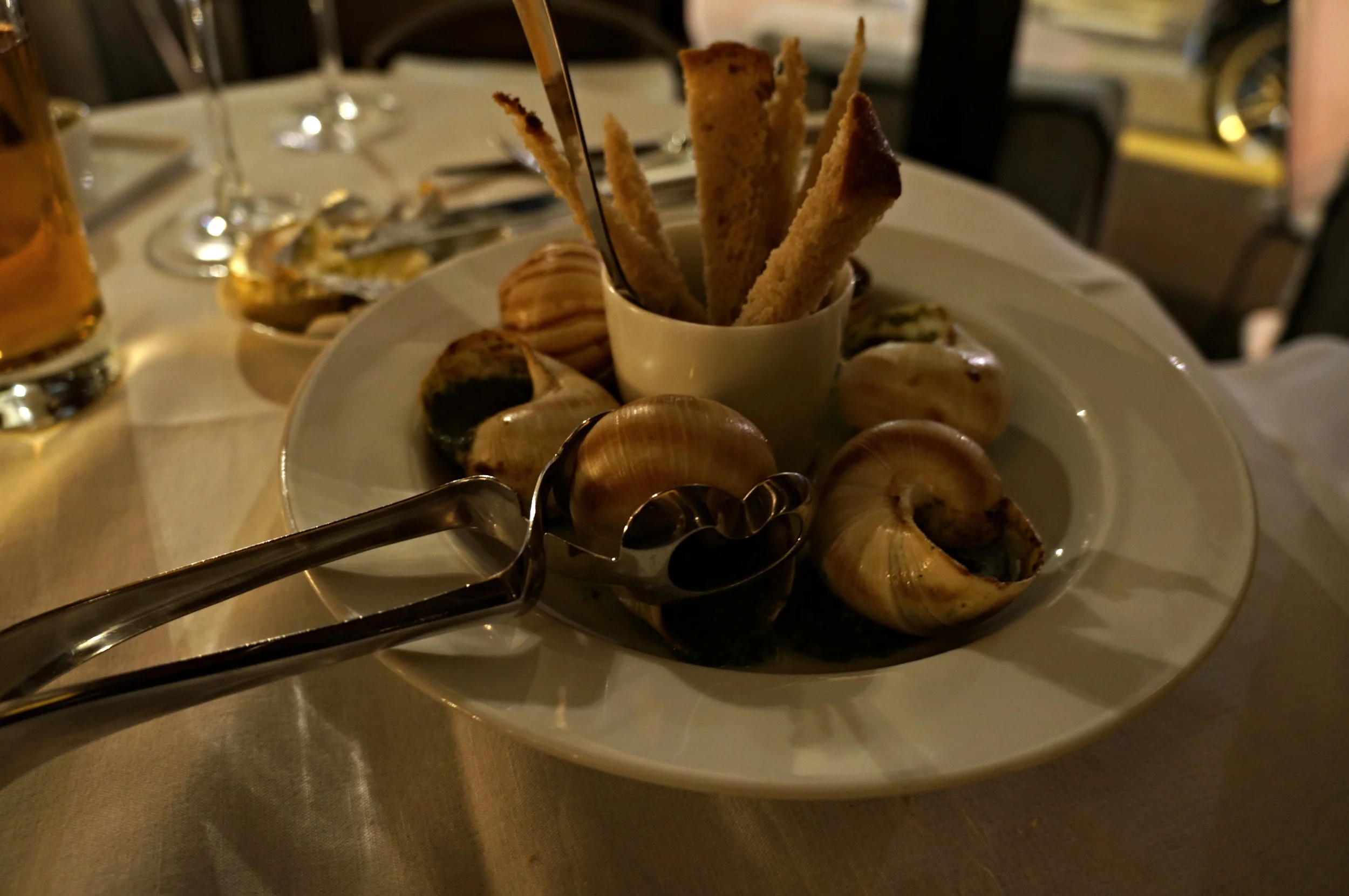 DSC05375.JPG