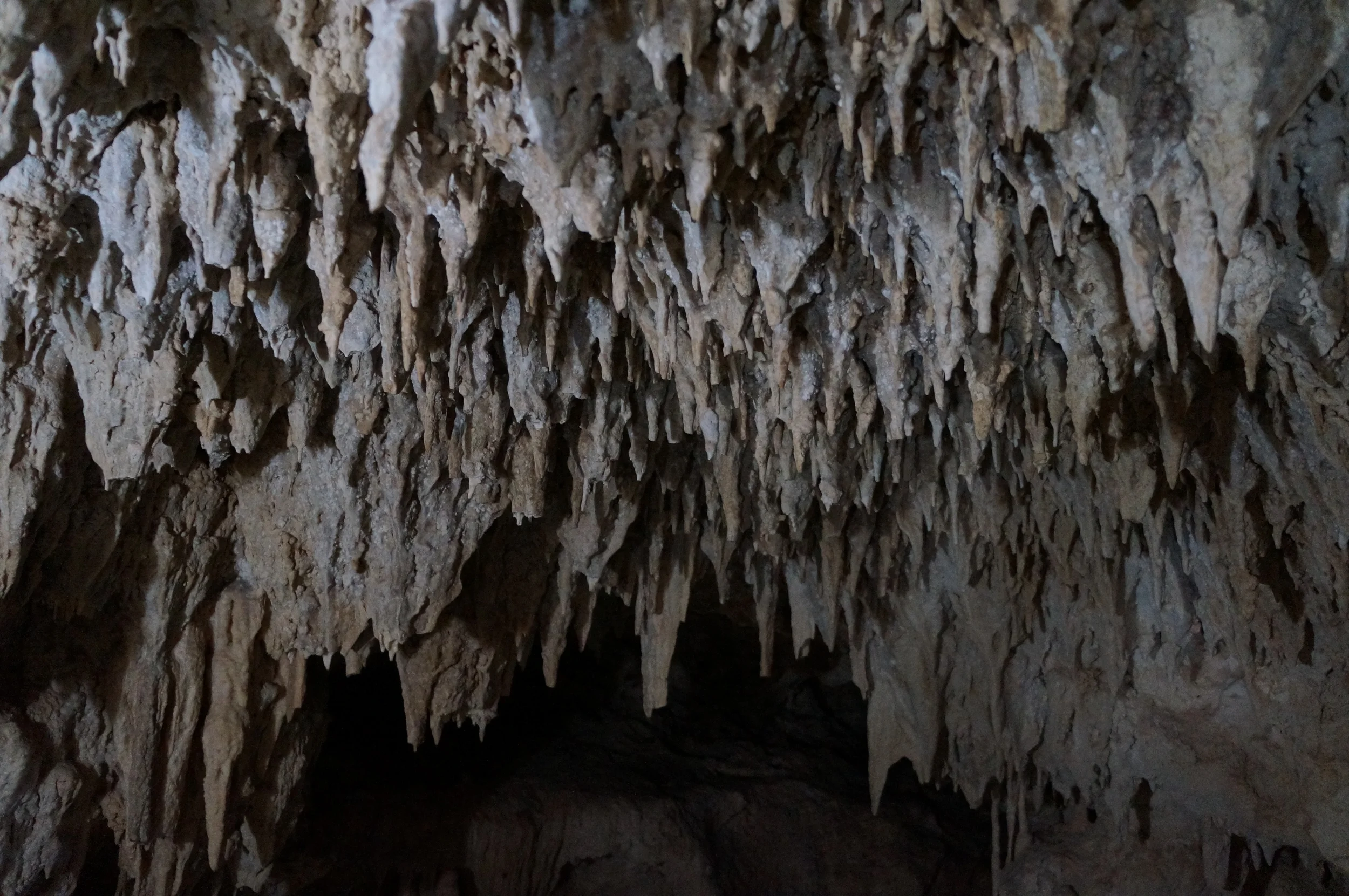 DSC07894.JPG