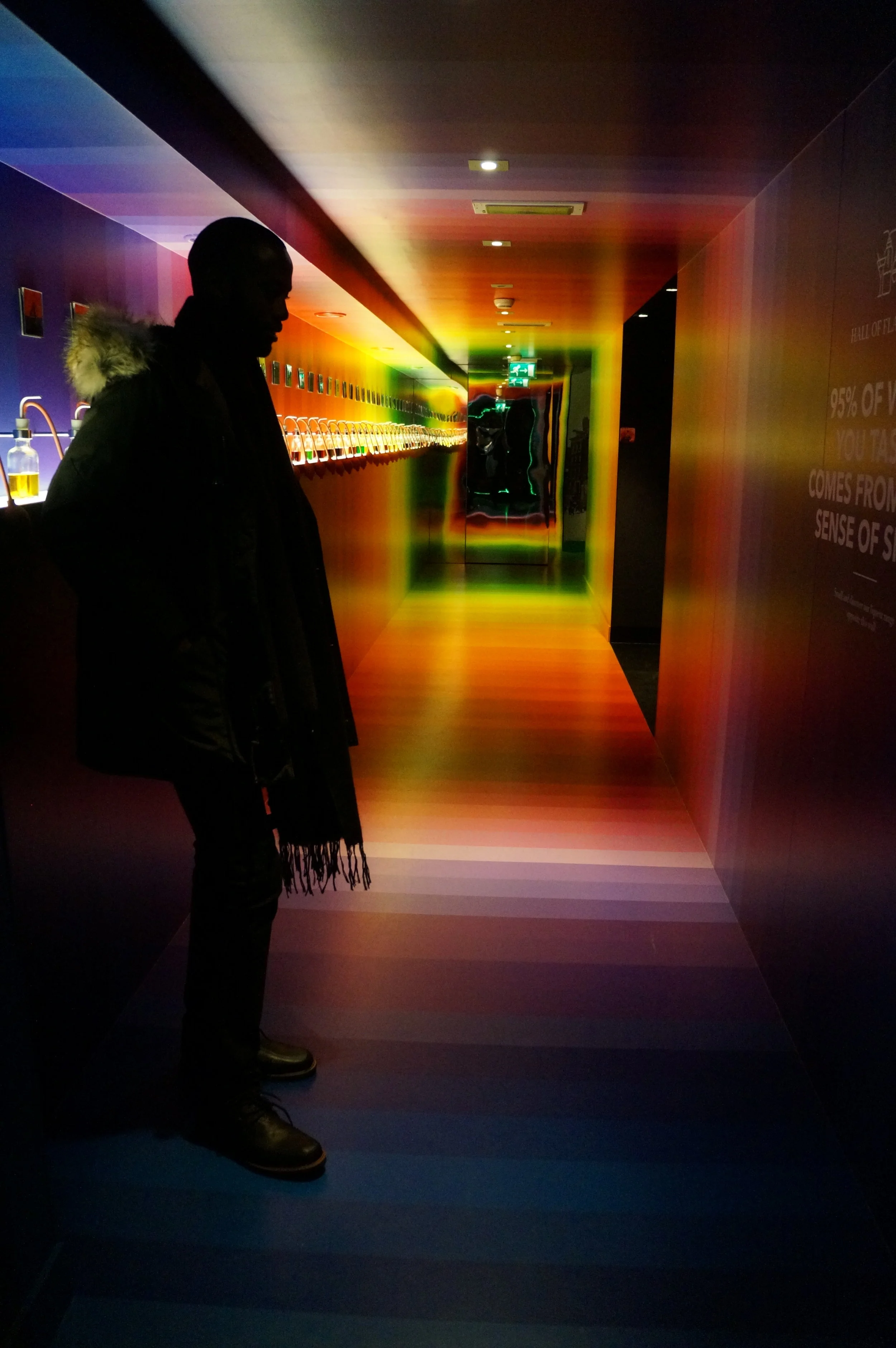  HOUSE OF BOLS 