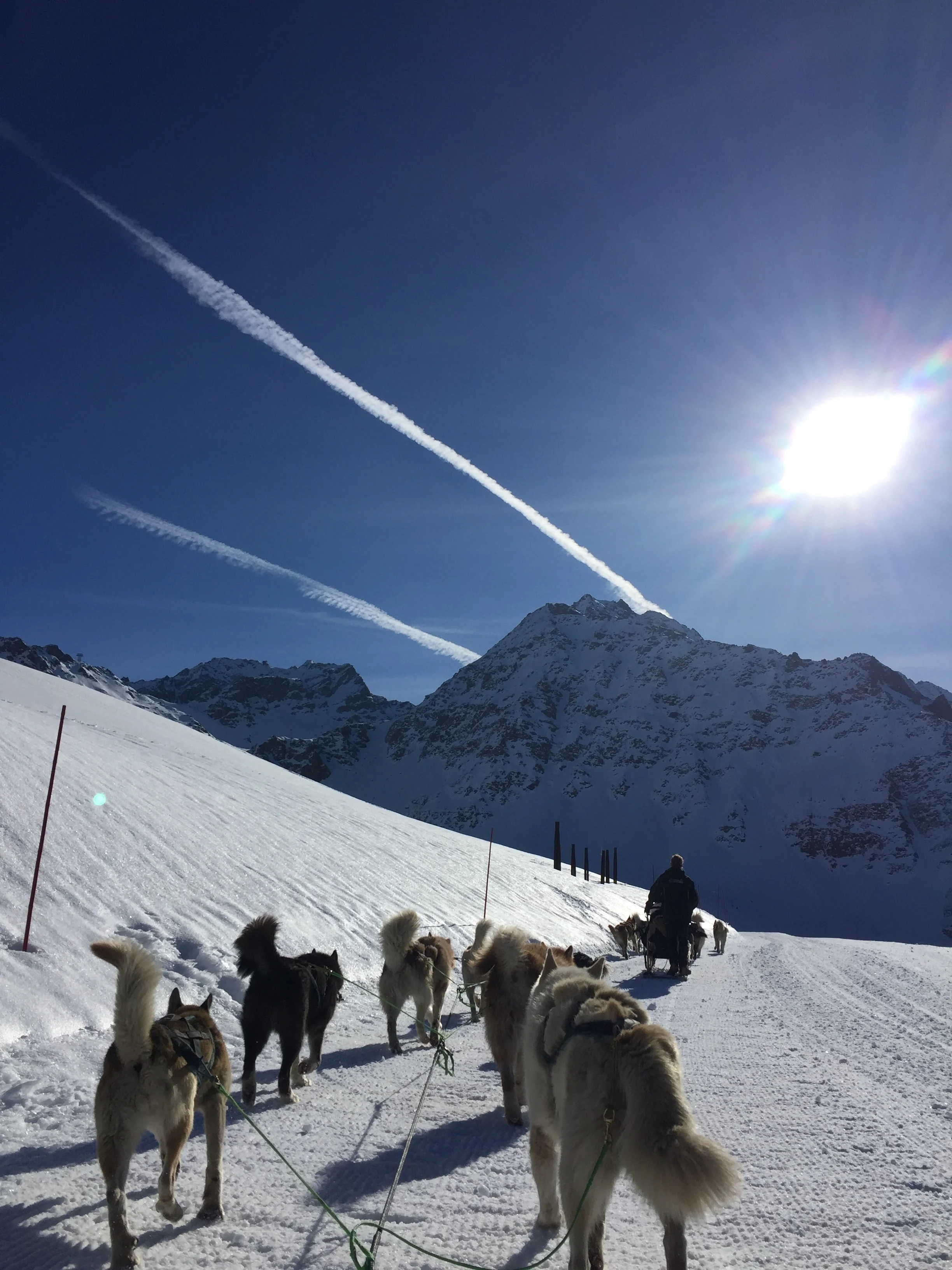 SLEDDING IN THE SWISS ALPS