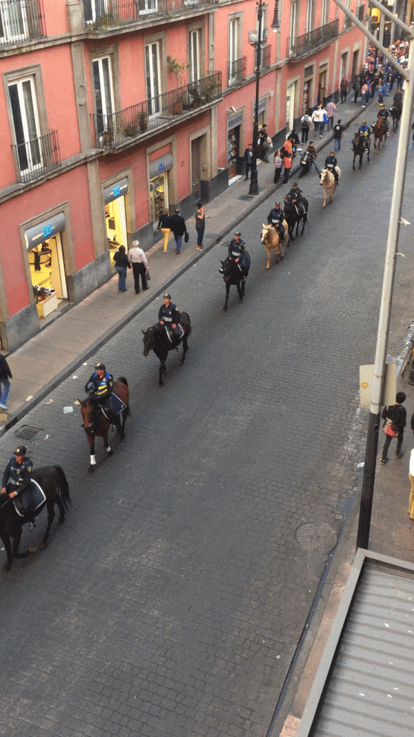 VIEW FROM OUR HOTEL BALCONY - WE SAW A BUNCH OF POLICE ON HORSEBACK ONE MORNING