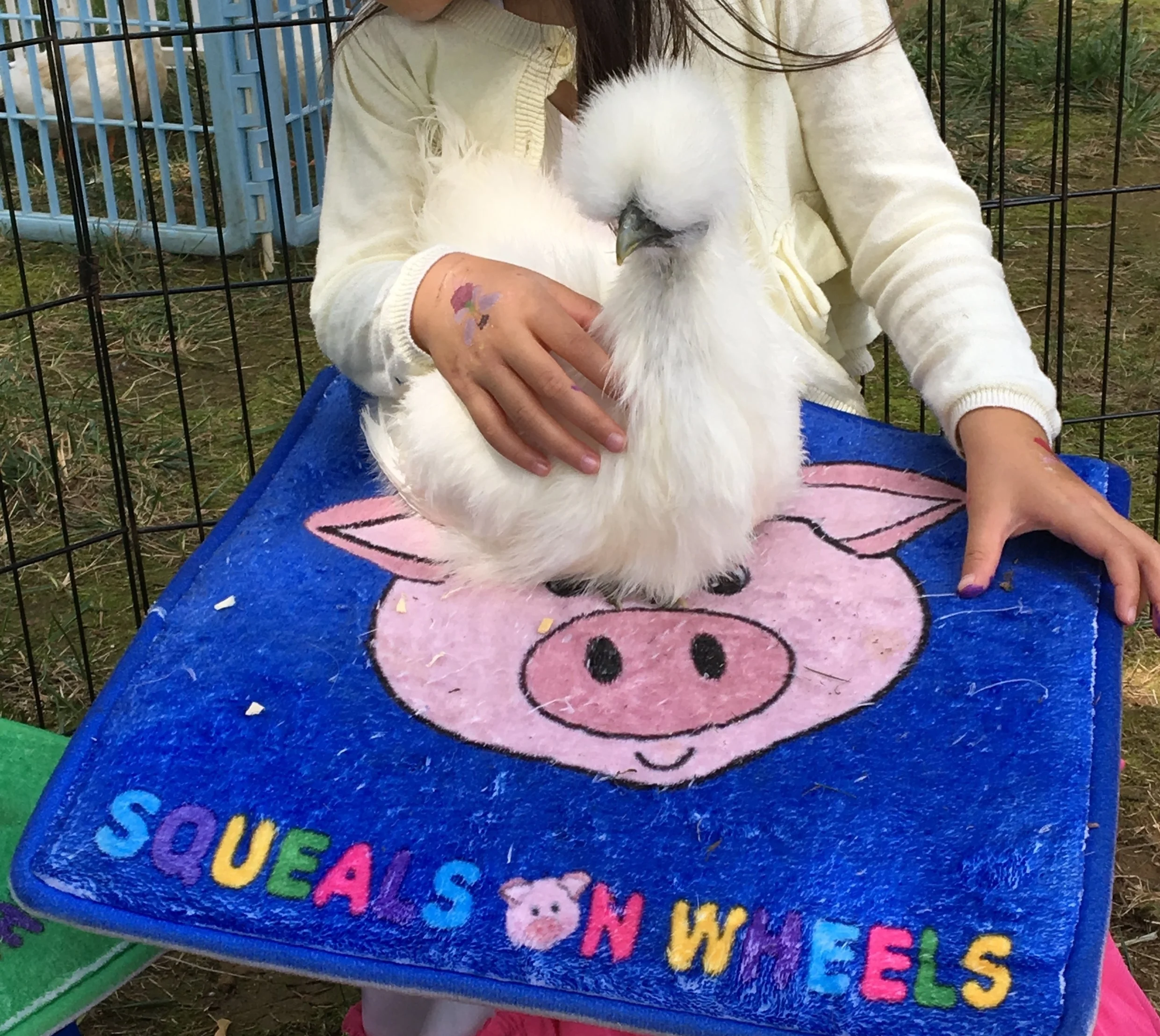 Squeals on Wheels Traveling Petting Zoo