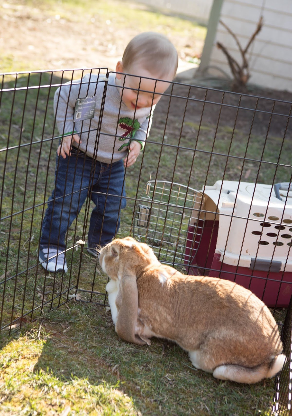 Baby w: bunny .jpeg