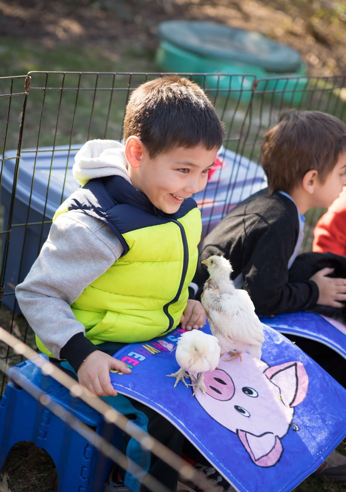 Kid holding chicks.jpeg