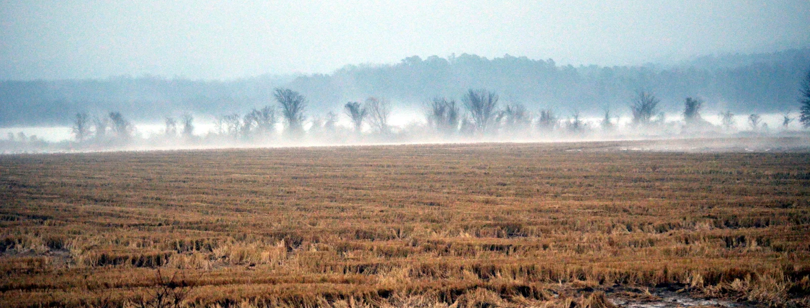 Road Trip 2014:  The Wastes of Arkansas