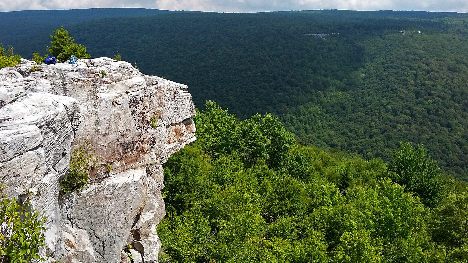 Lion's Head