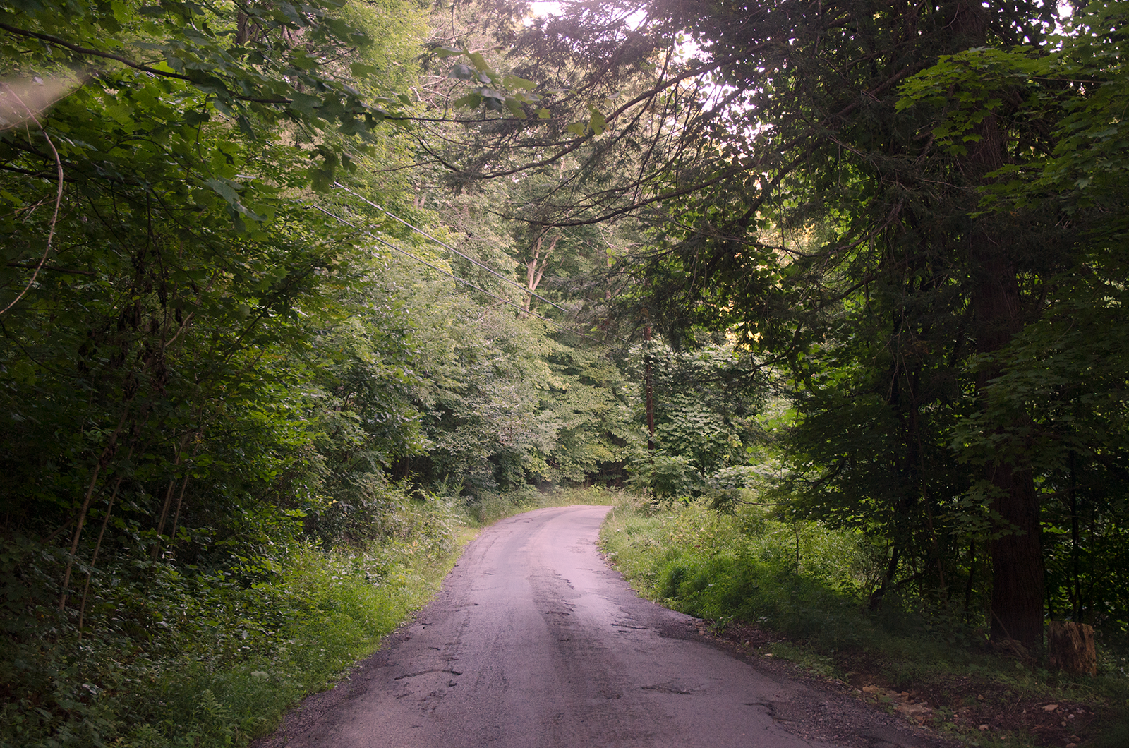 Canyon Gorge
