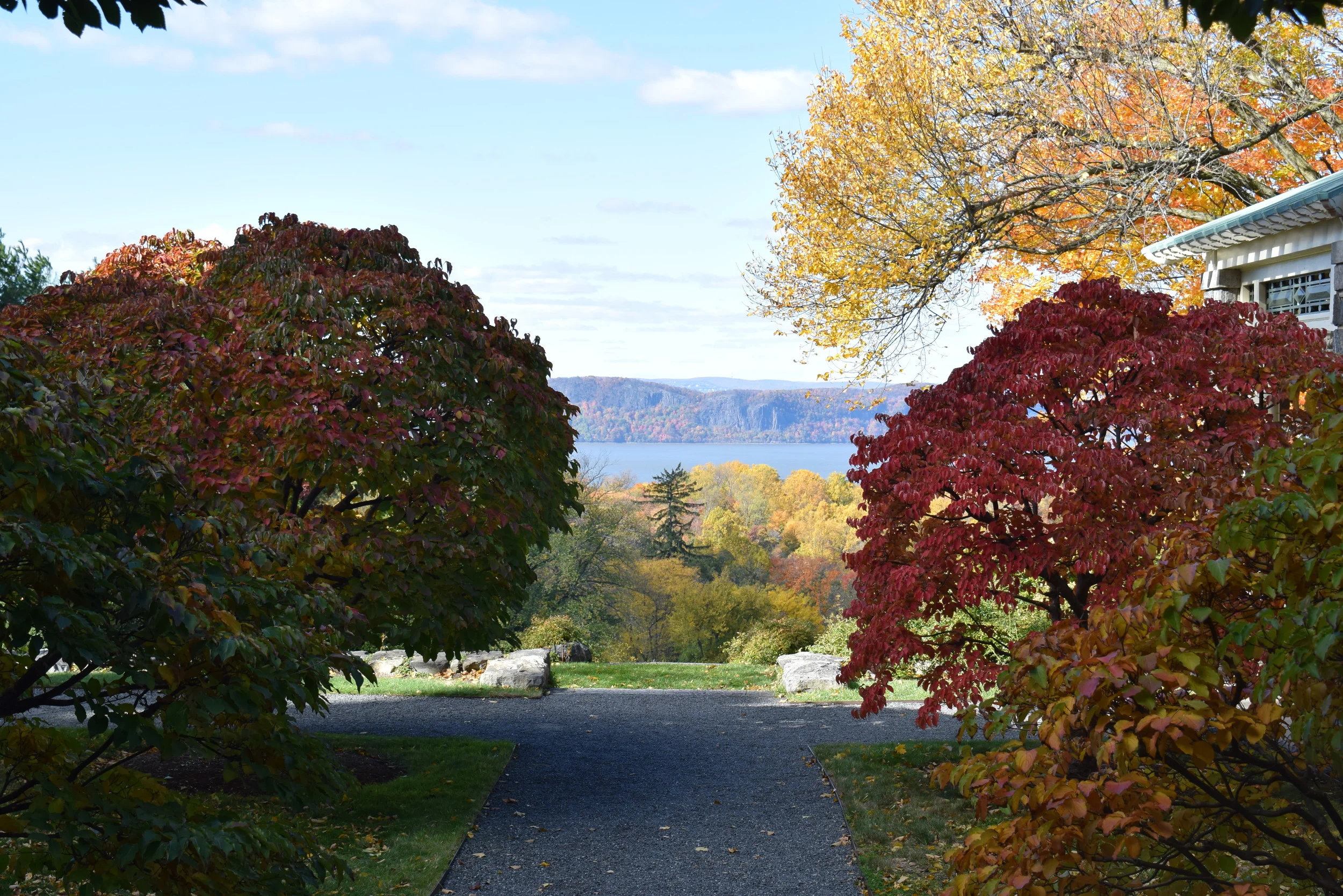 DSC_0526.JPG