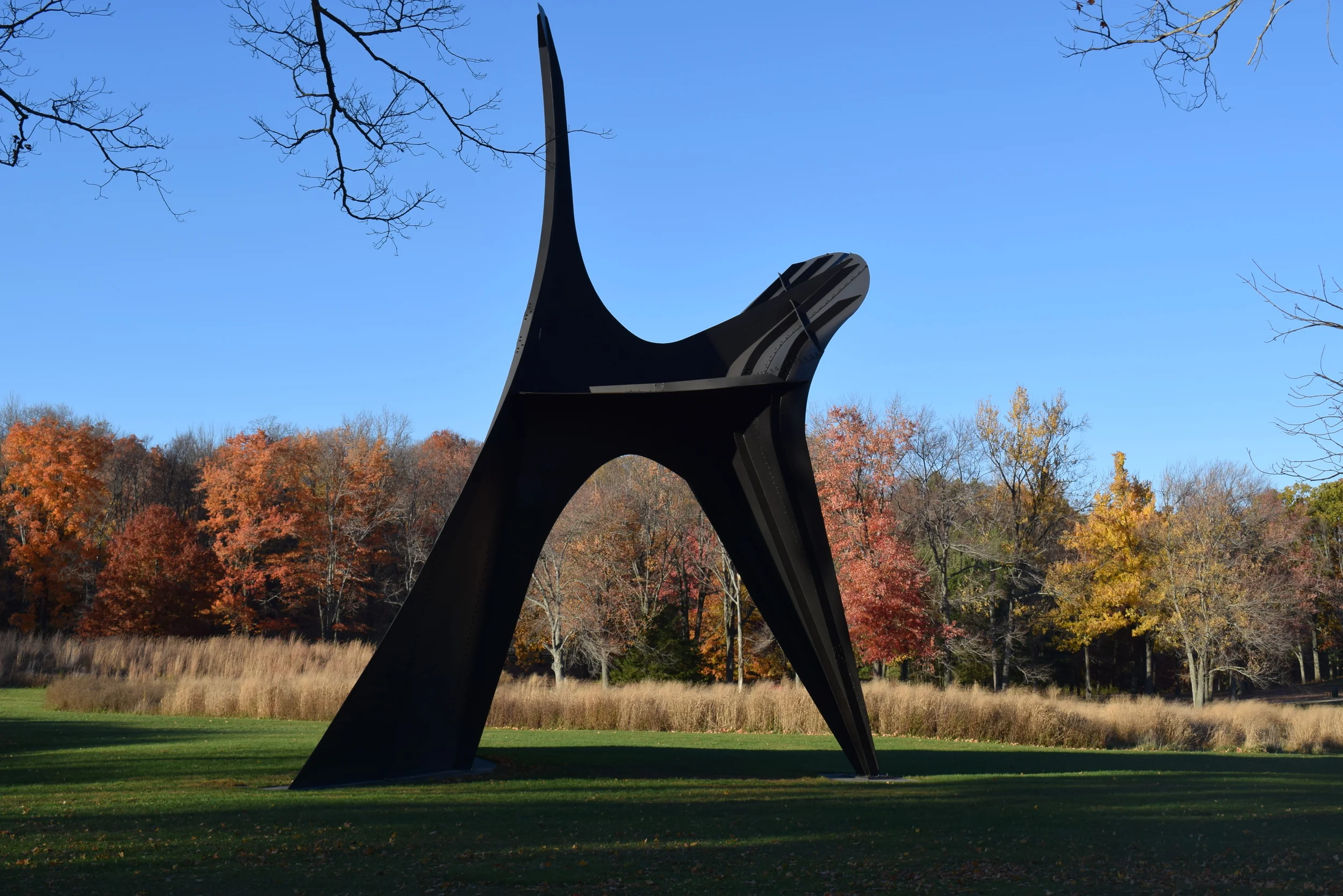 DSC_0690.JPG