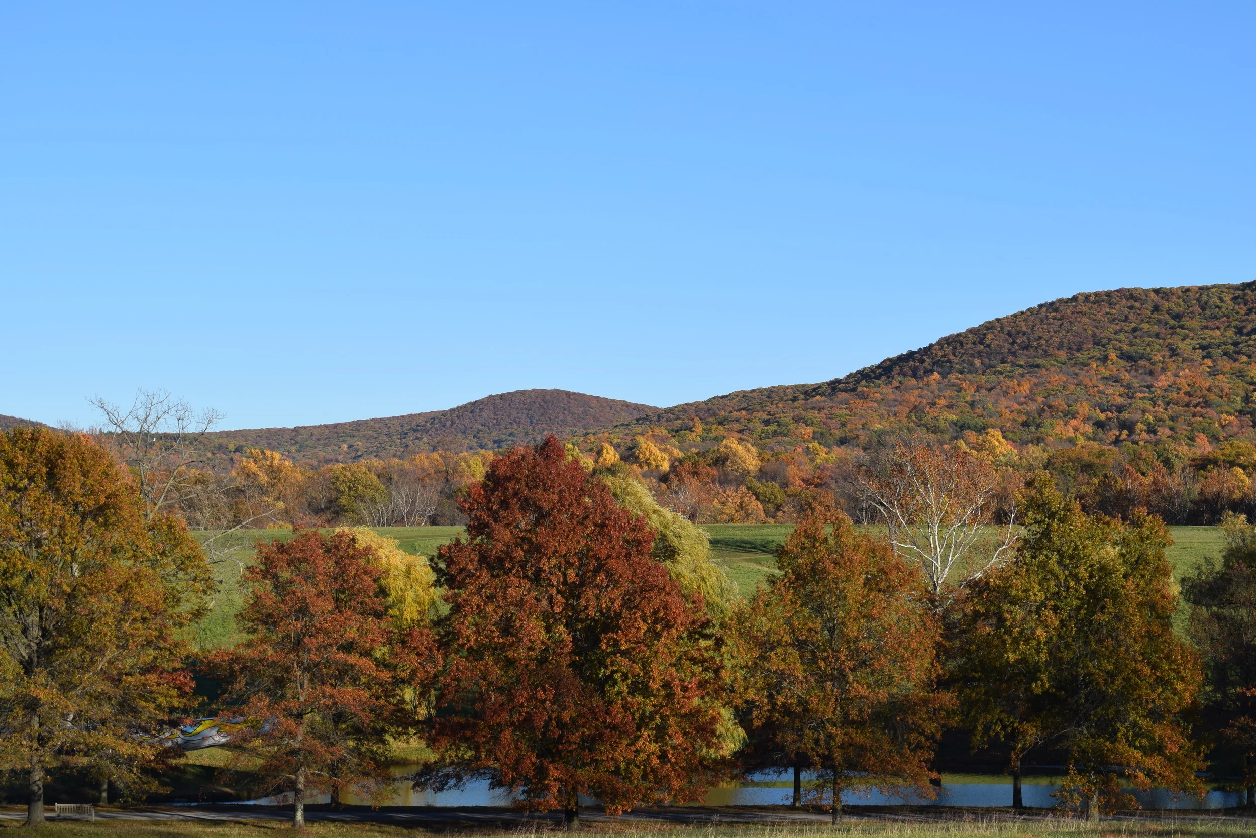 DSC_0677.JPG