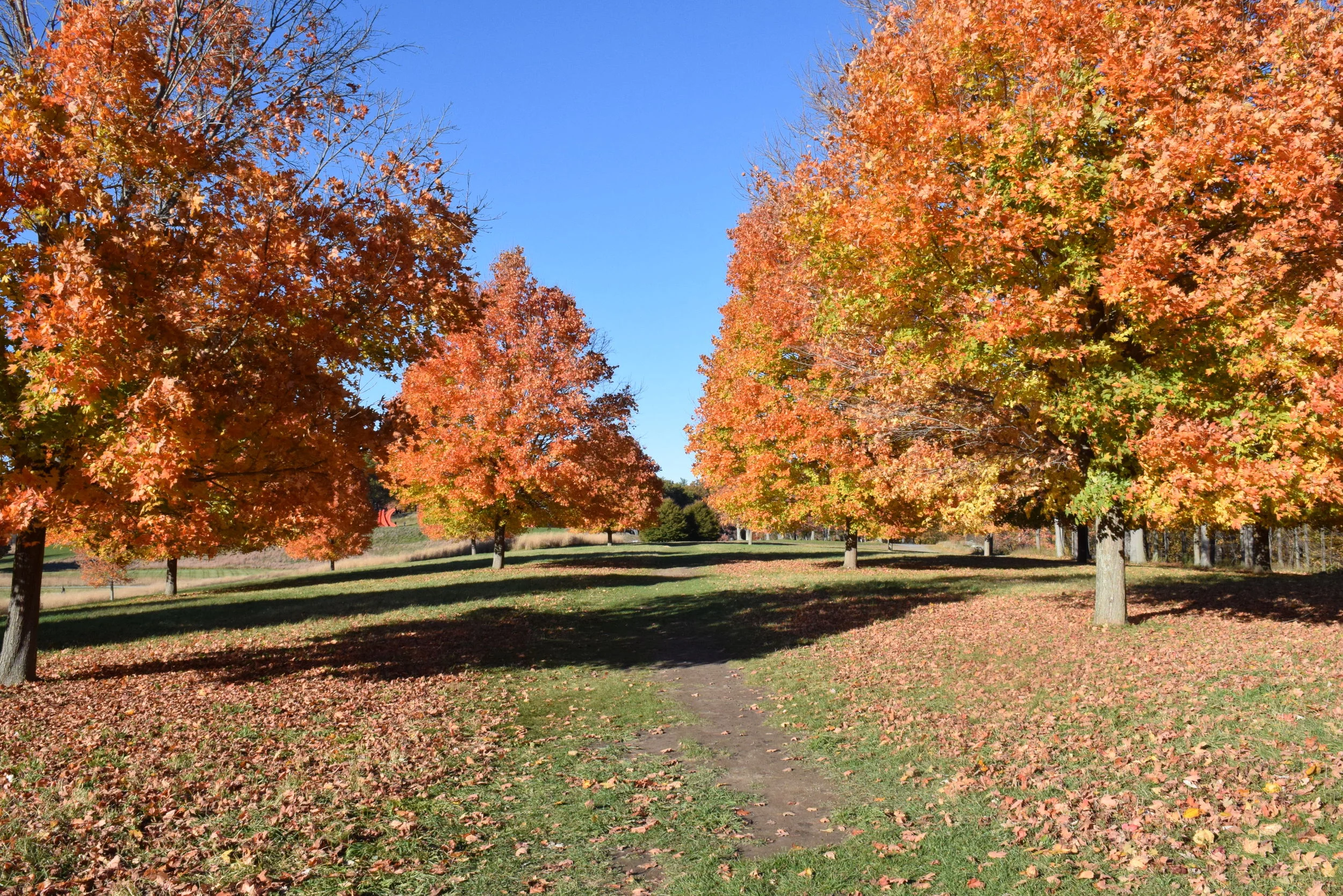 DSC_0615.JPG