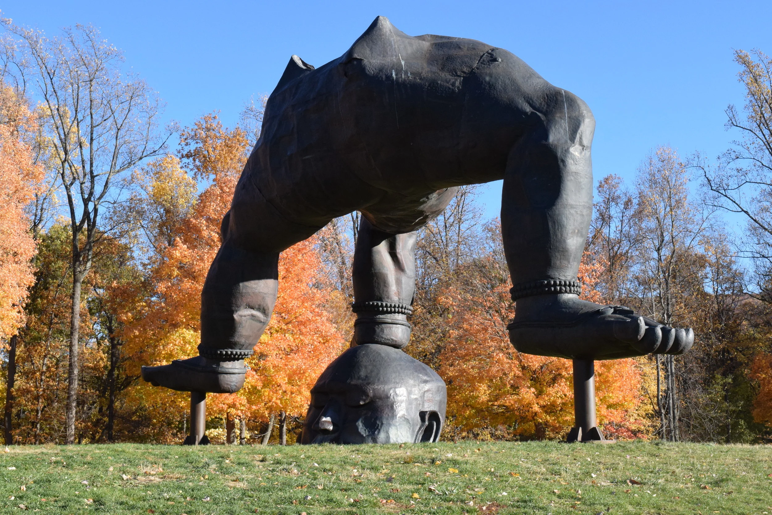 DSC_0610.JPG