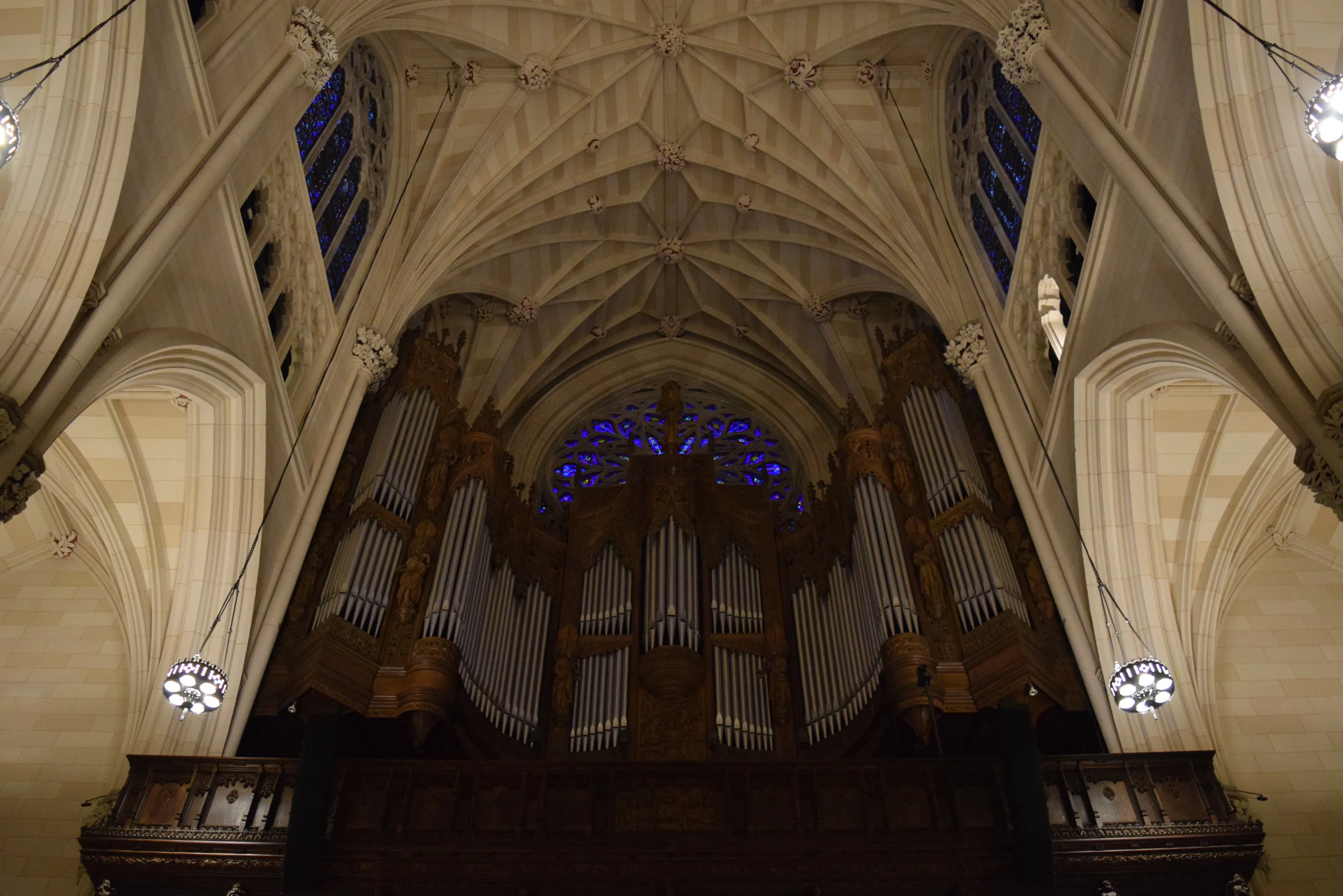 DSC_0086.JPG