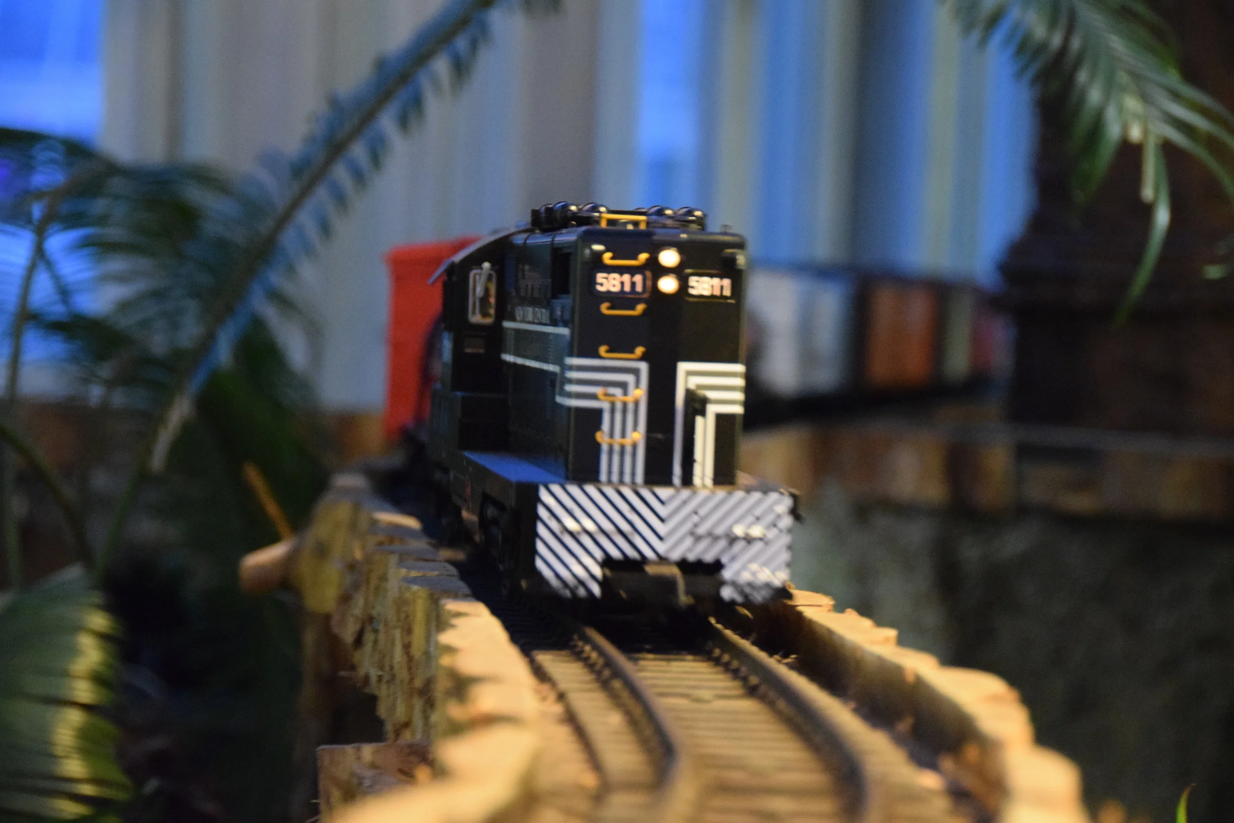 DSC_0375.JPG
