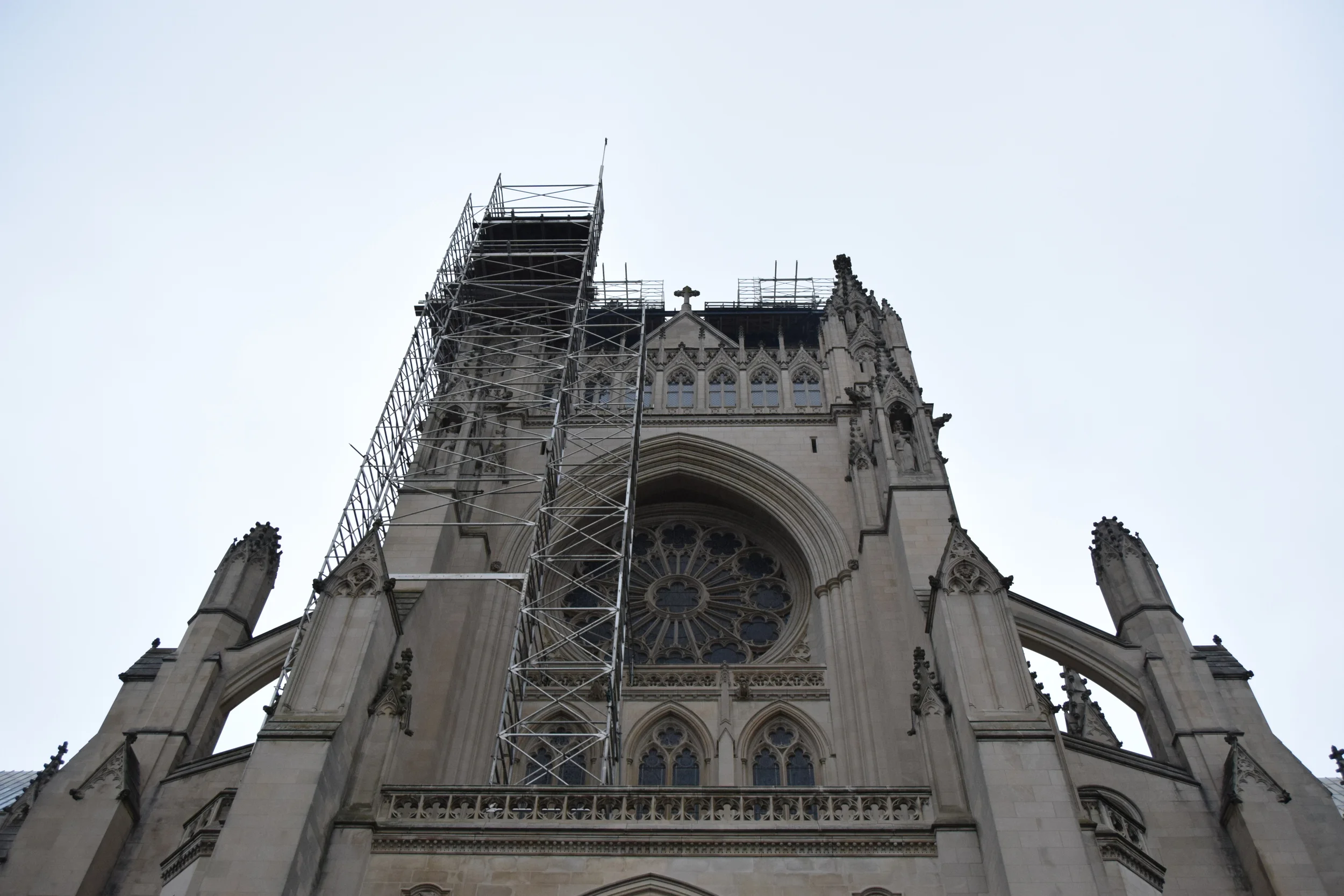 DSC_0103.JPG