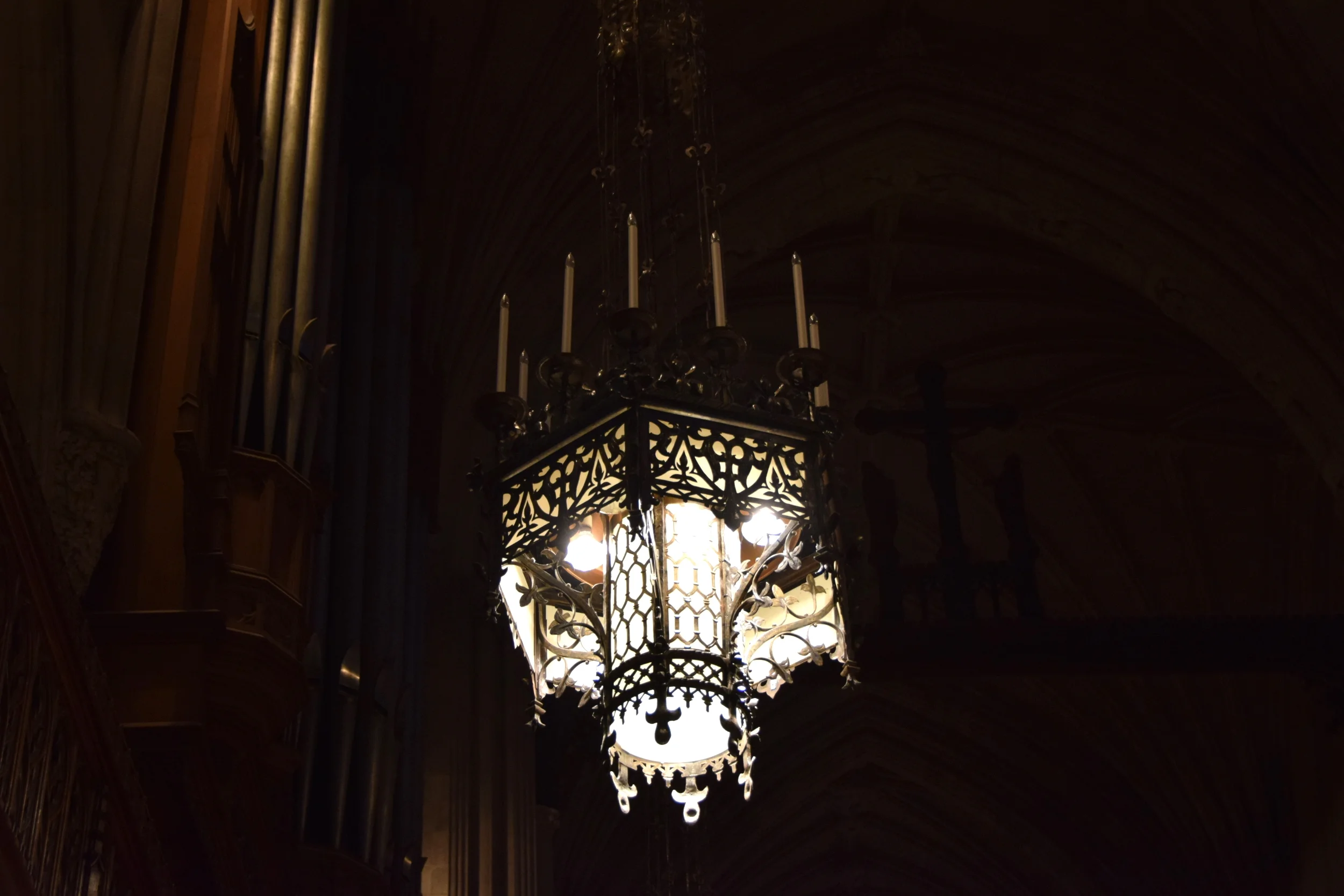 DSC_0098.JPG