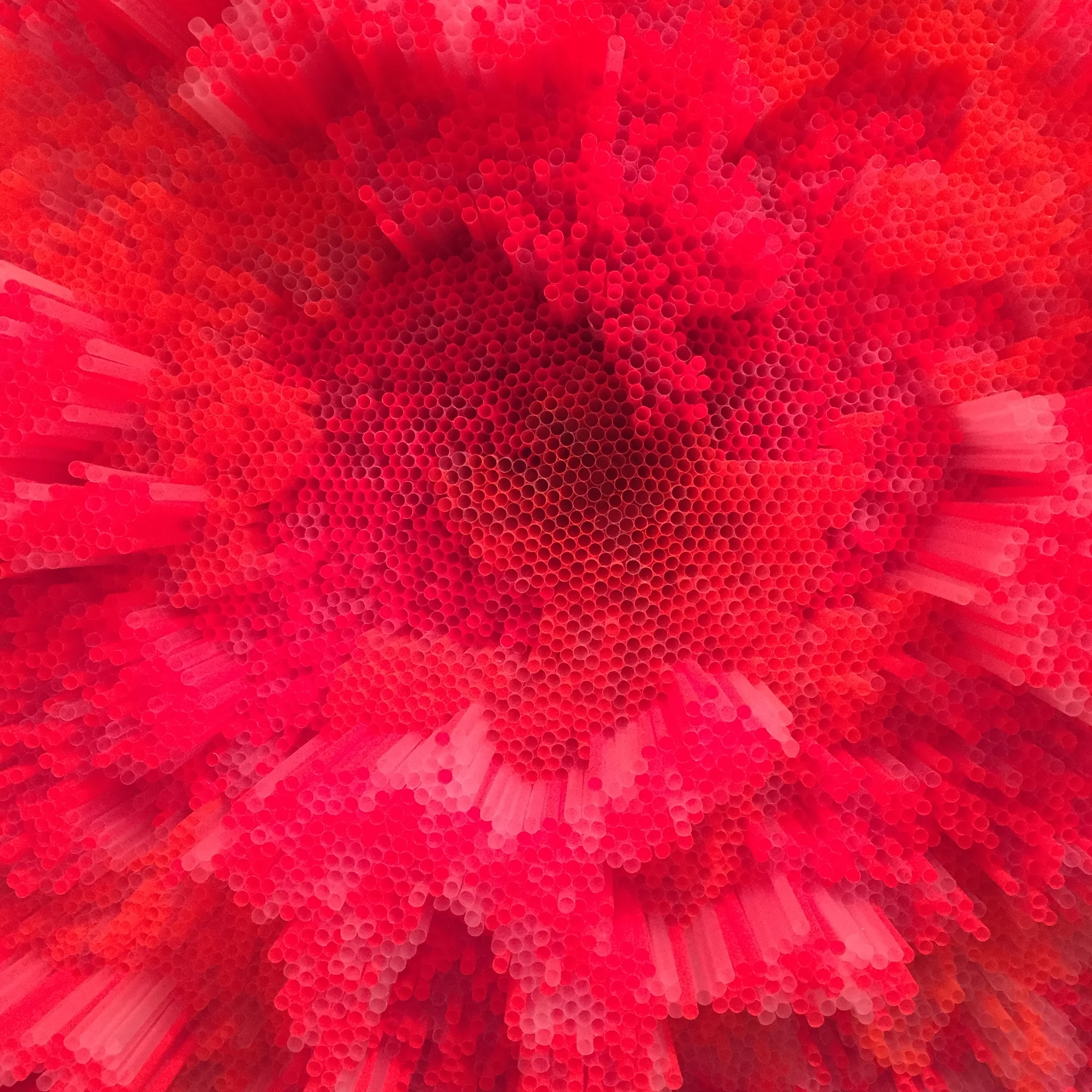 Red Straws 