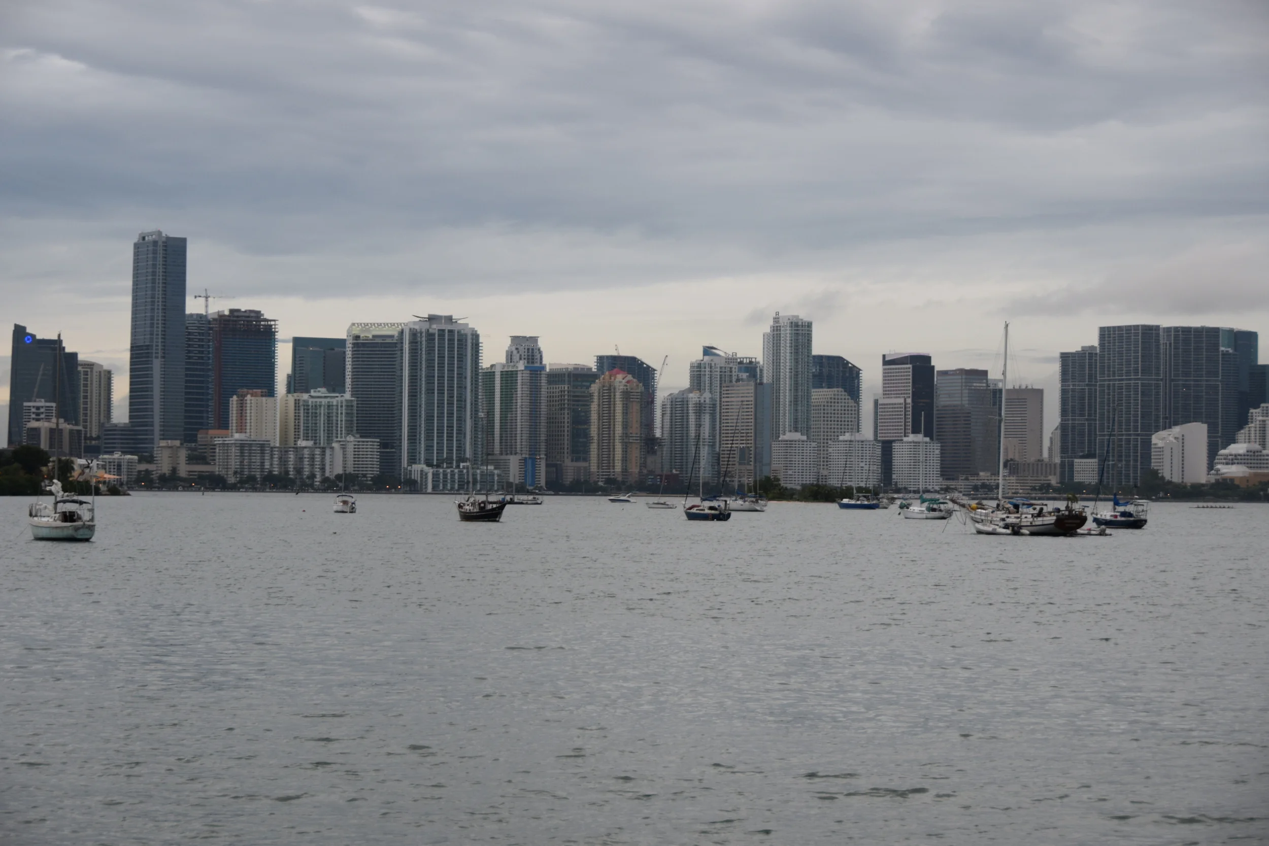 DSC_0871.JPG