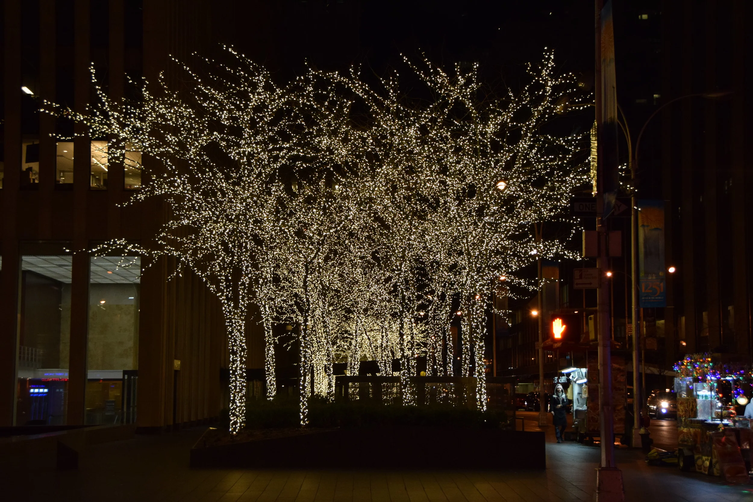 DSC_0230.JPG