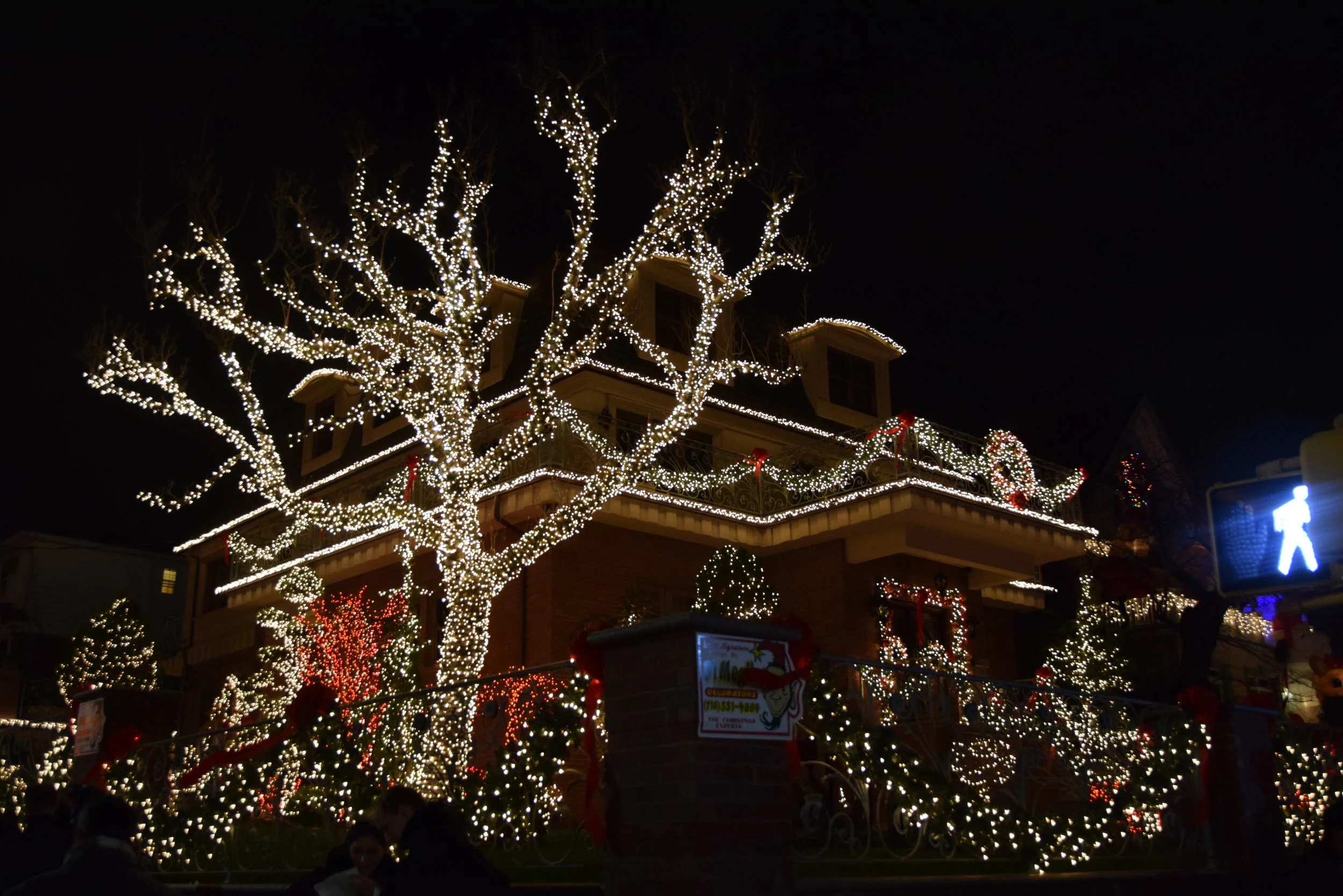 DSC_0186.JPG