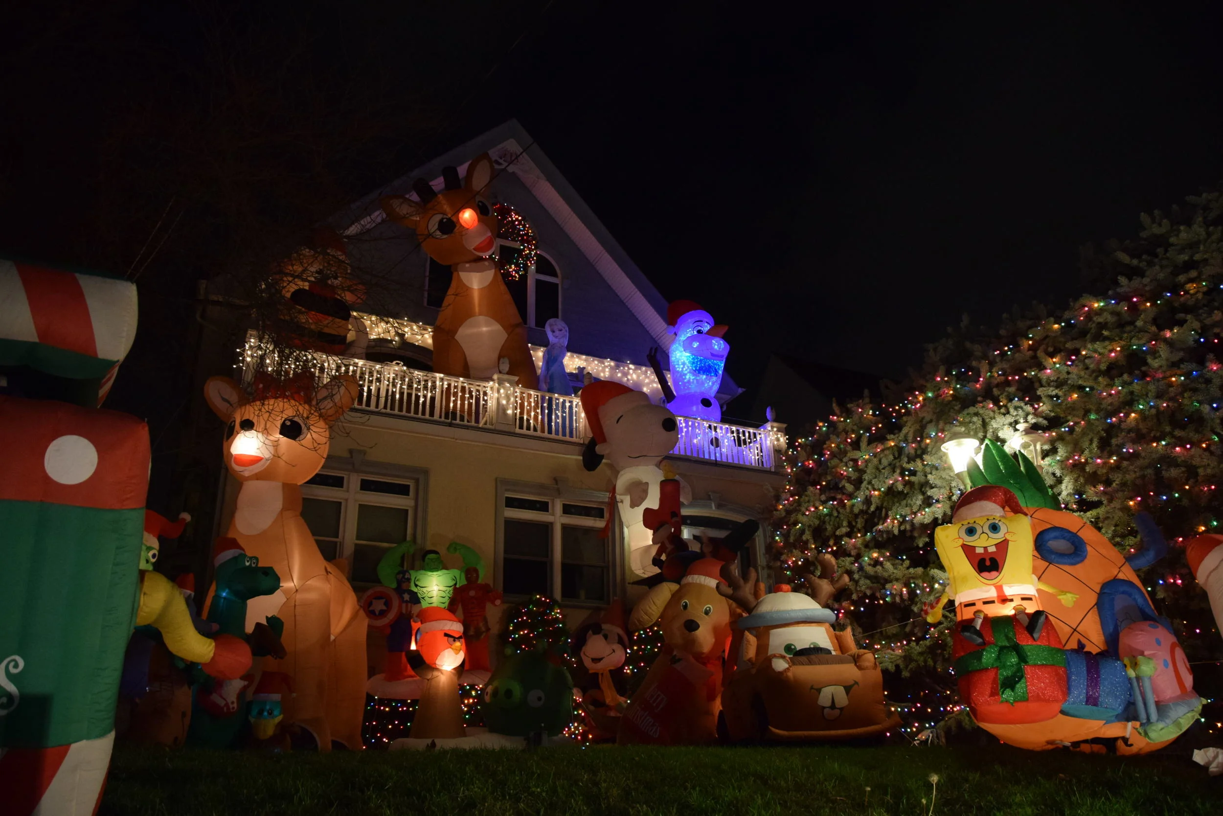 DSC_0190.JPG