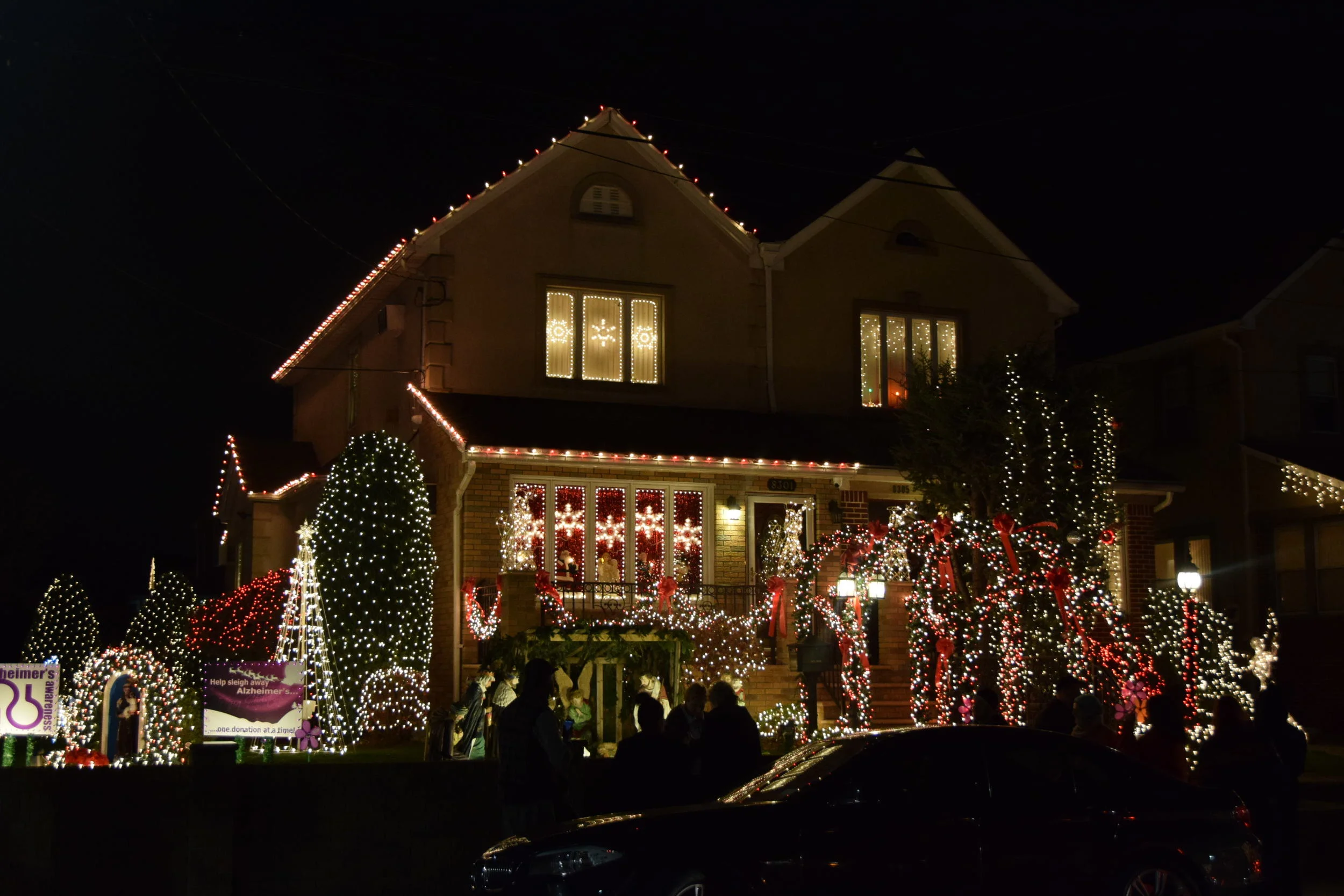 DSC_0193.JPG