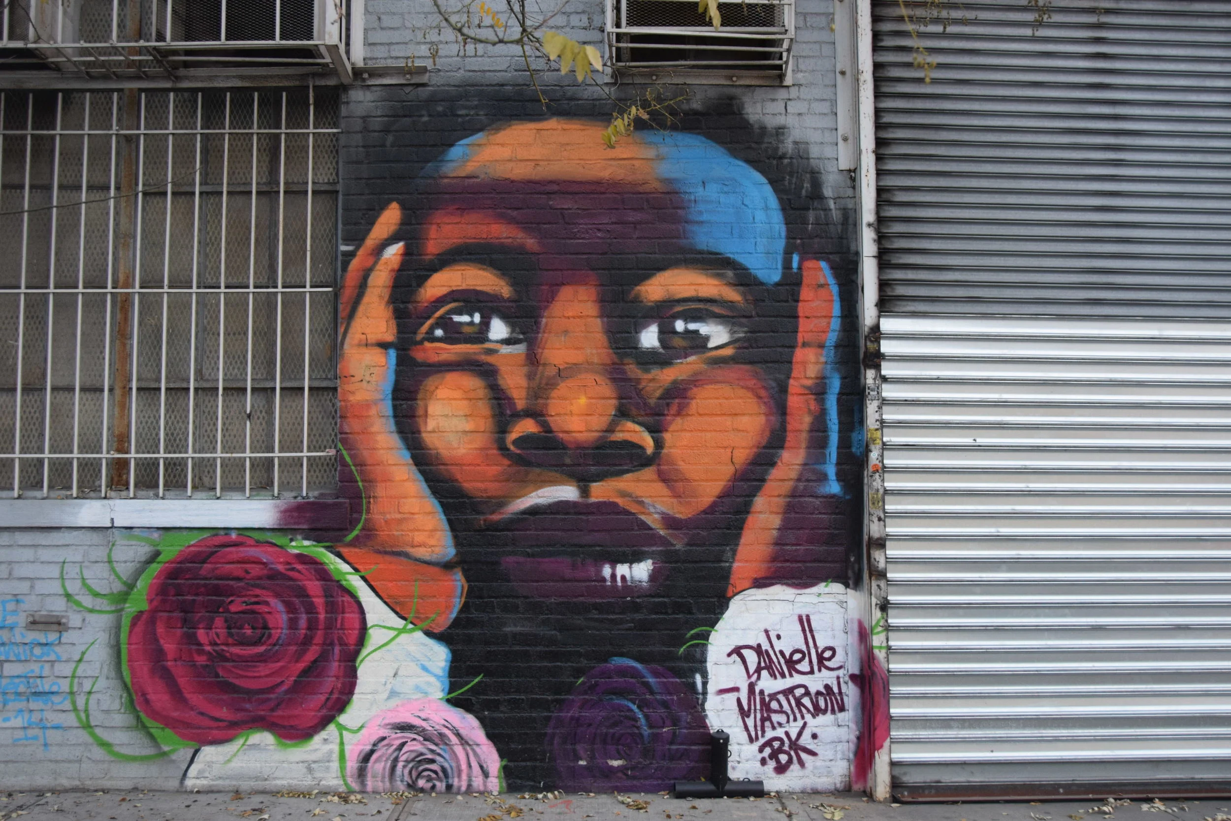 DSC_0052.JPG