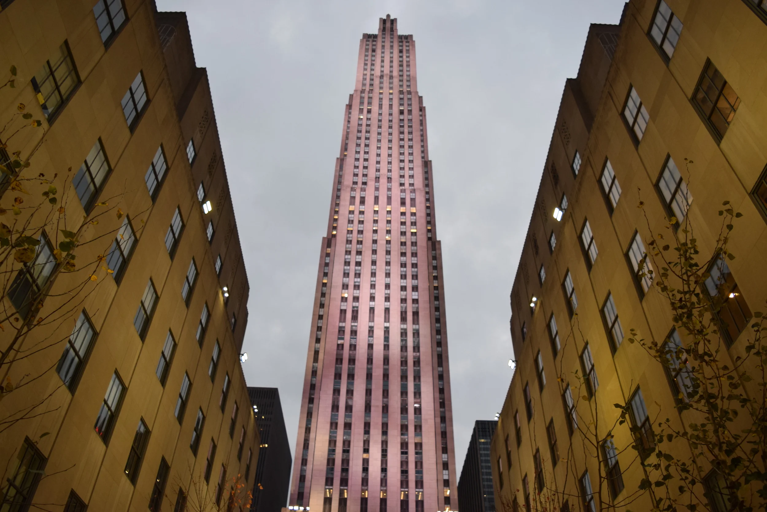 DSC_0143.JPG