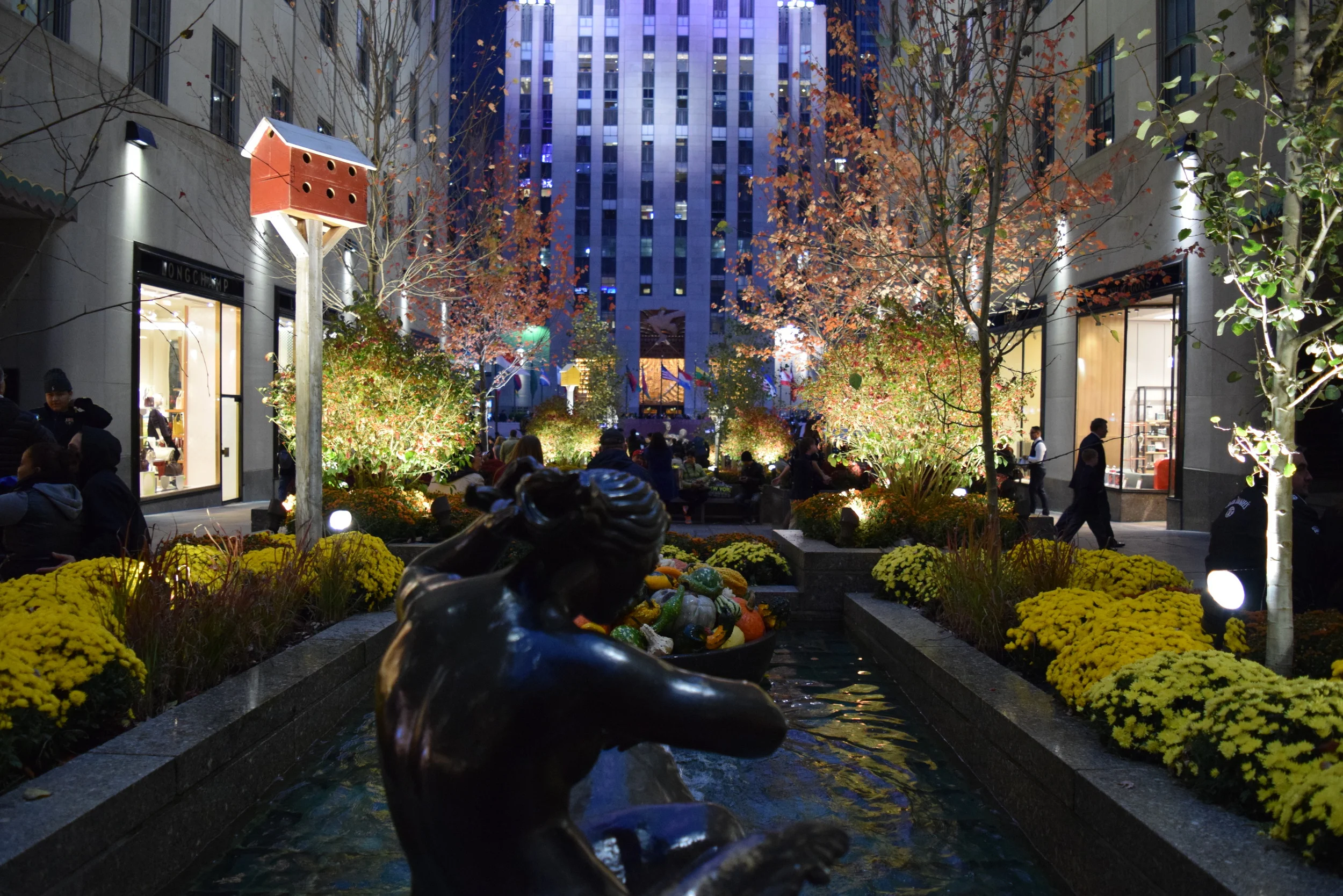 DSC_0148.JPG