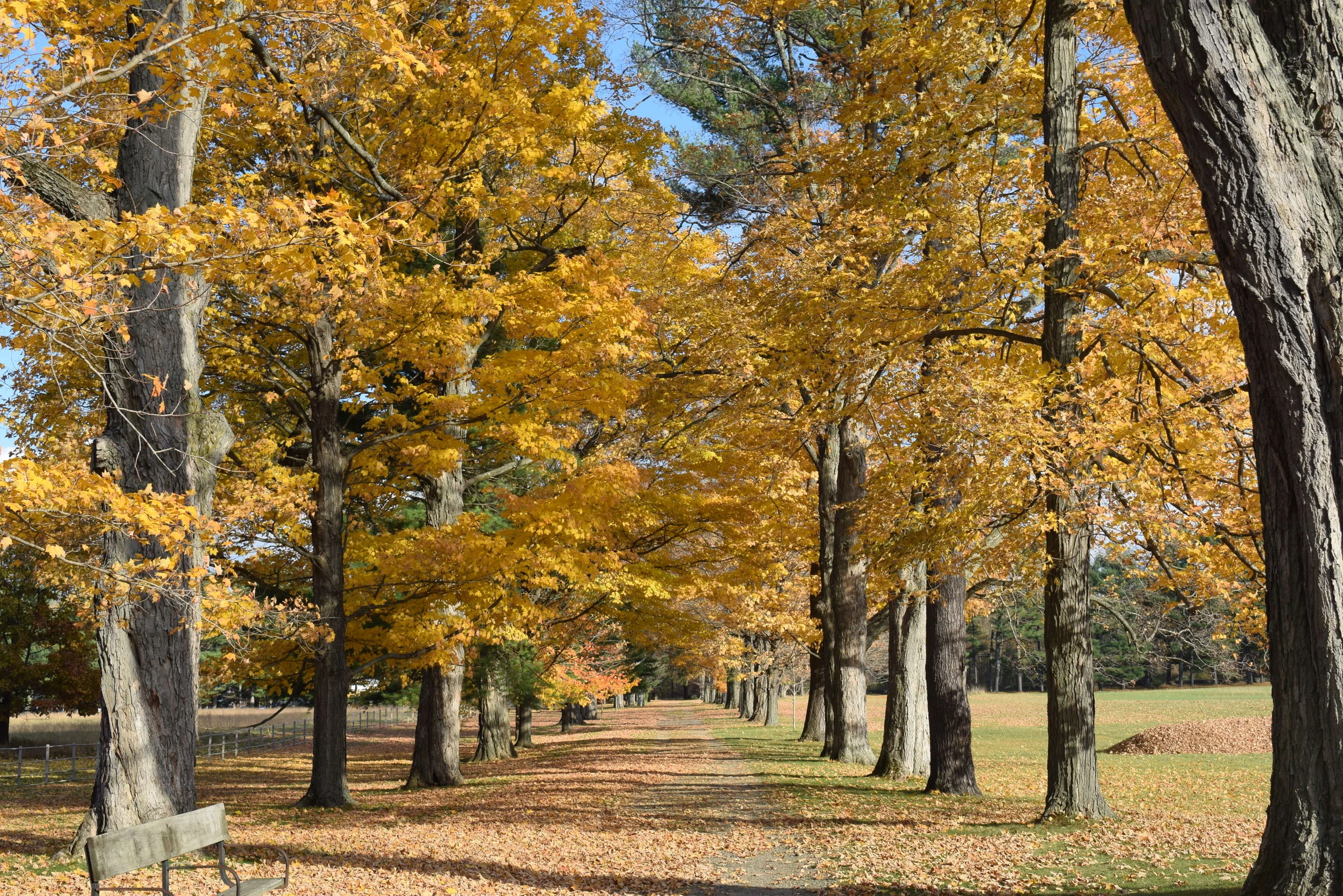 DSC_0144.JPG