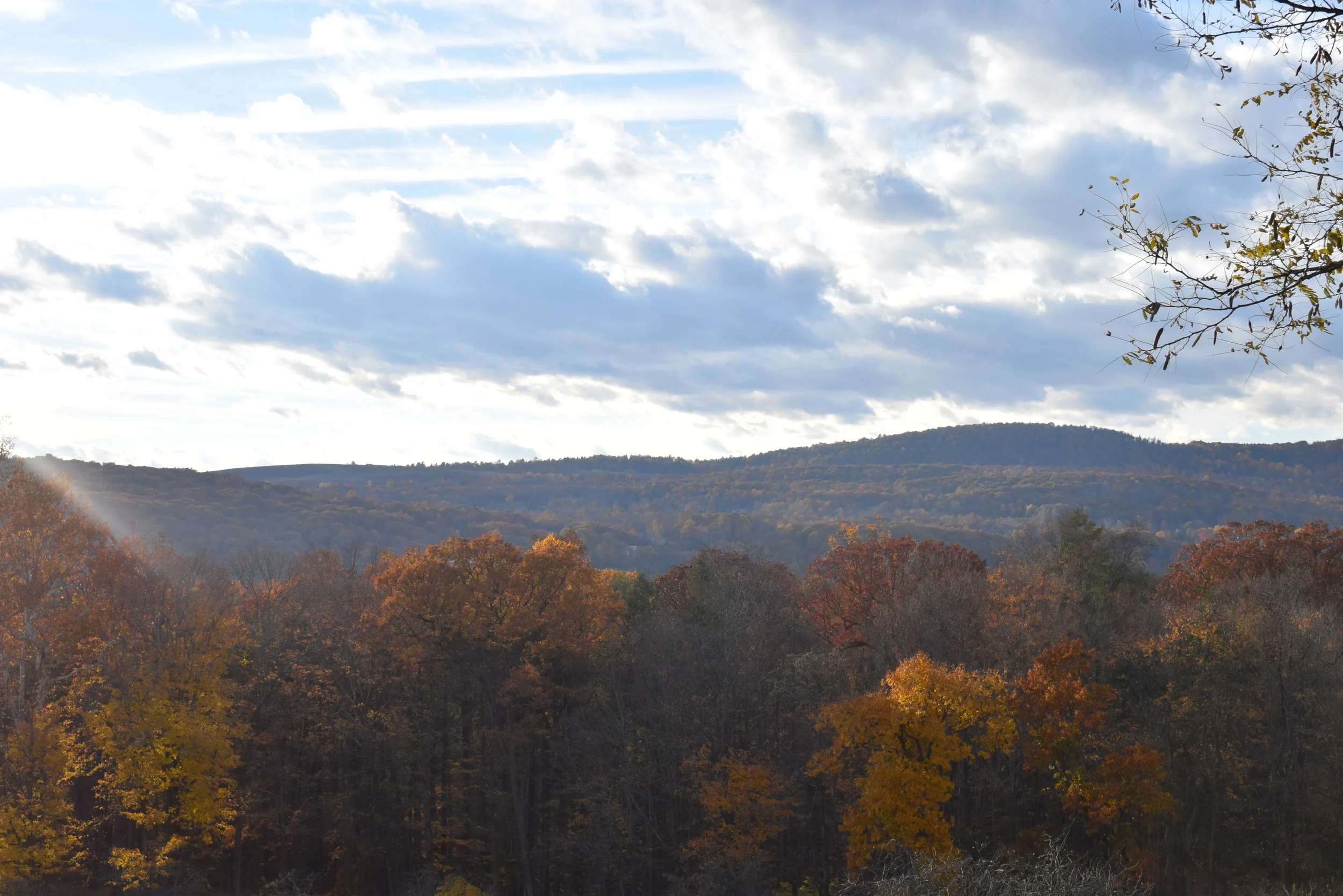 DSC_0212.JPG