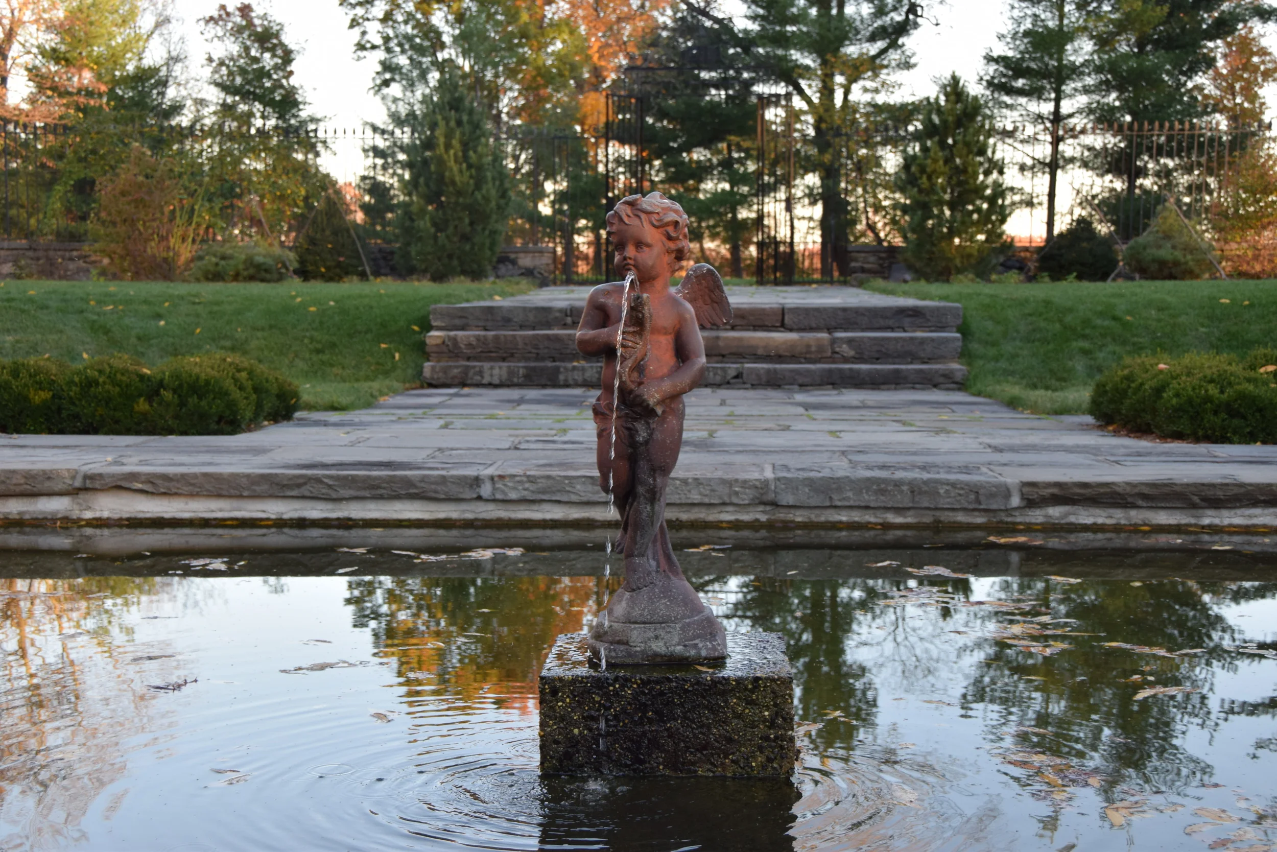 DSC_0594.JPG