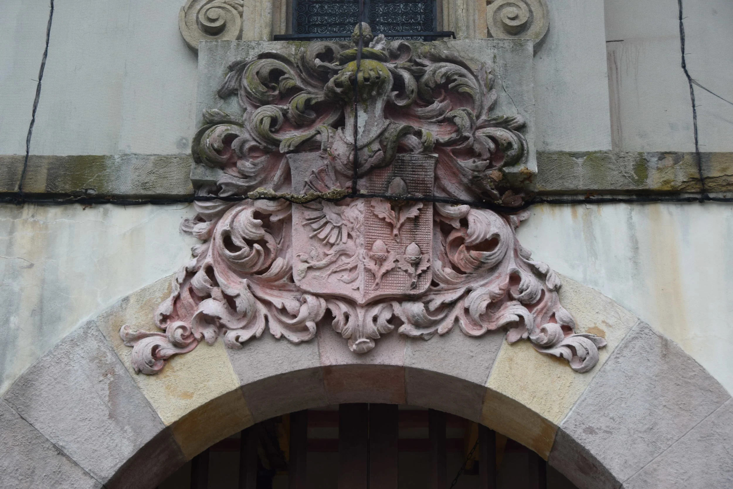 DSC_0581.JPG