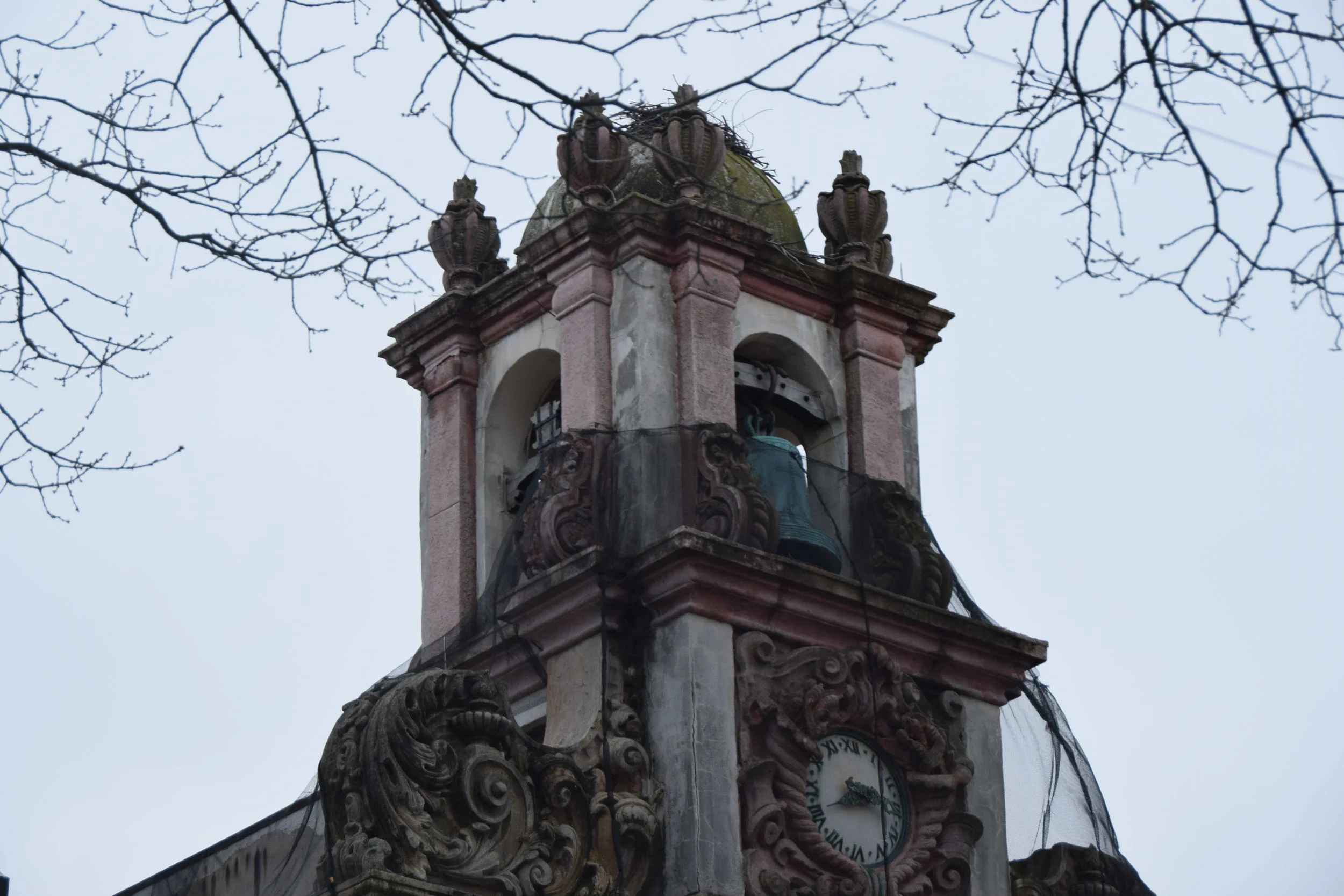 DSC_0615.JPG