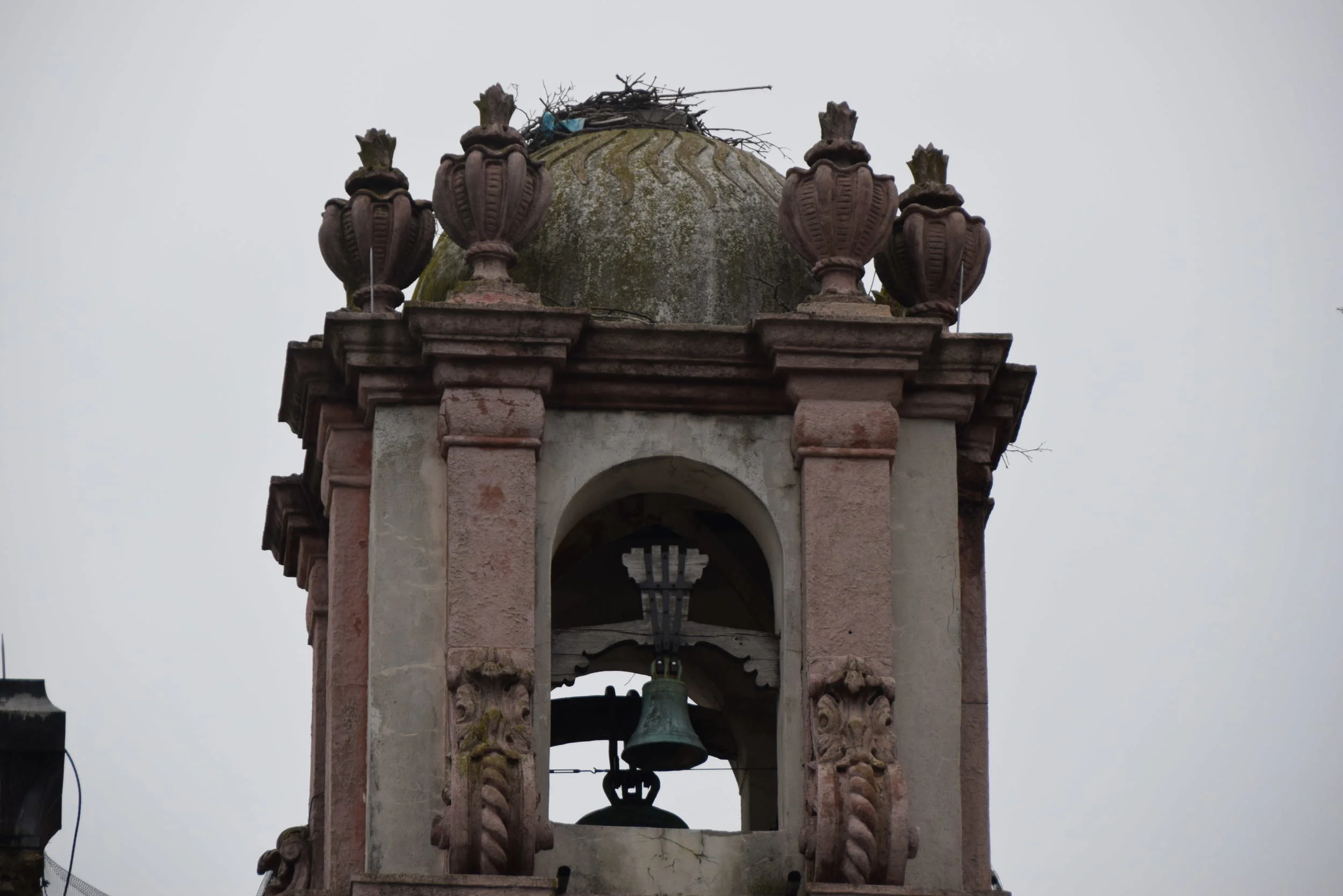 DSC_0710.JPG