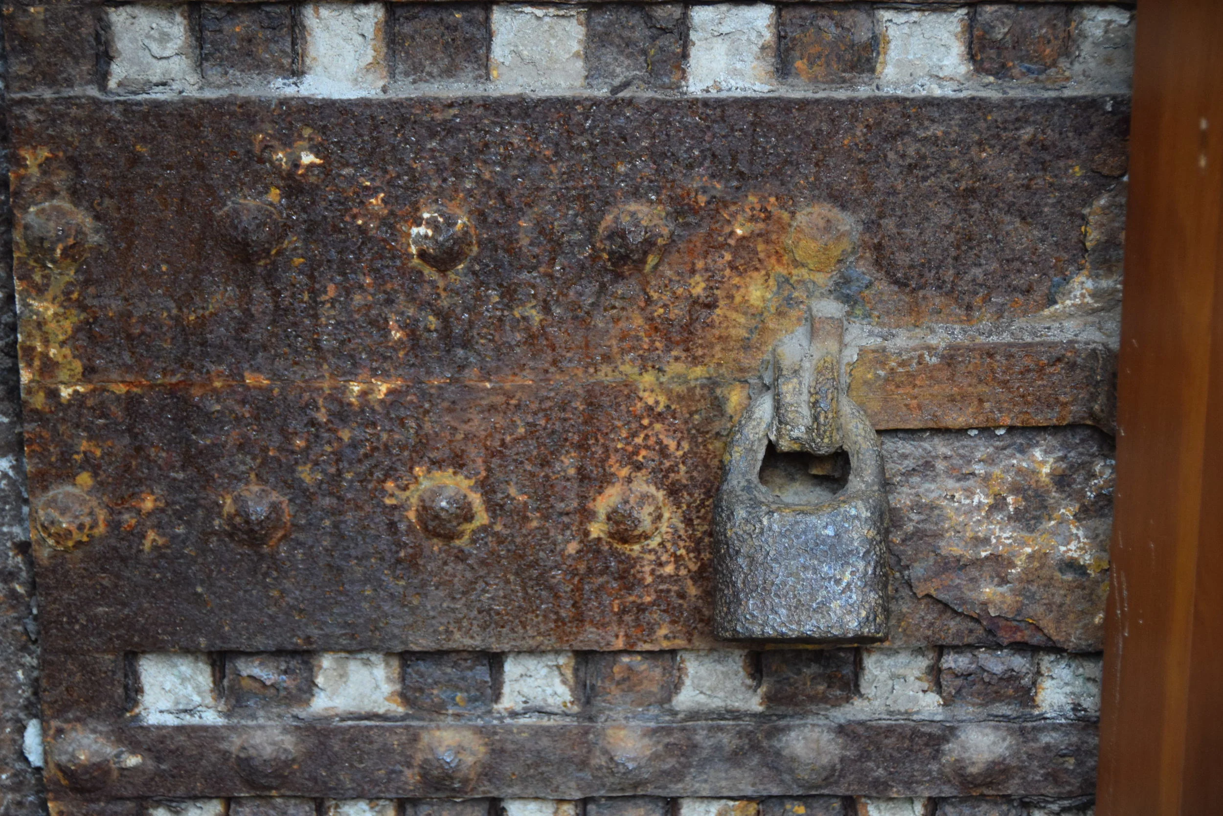 DSC_0150.JPG