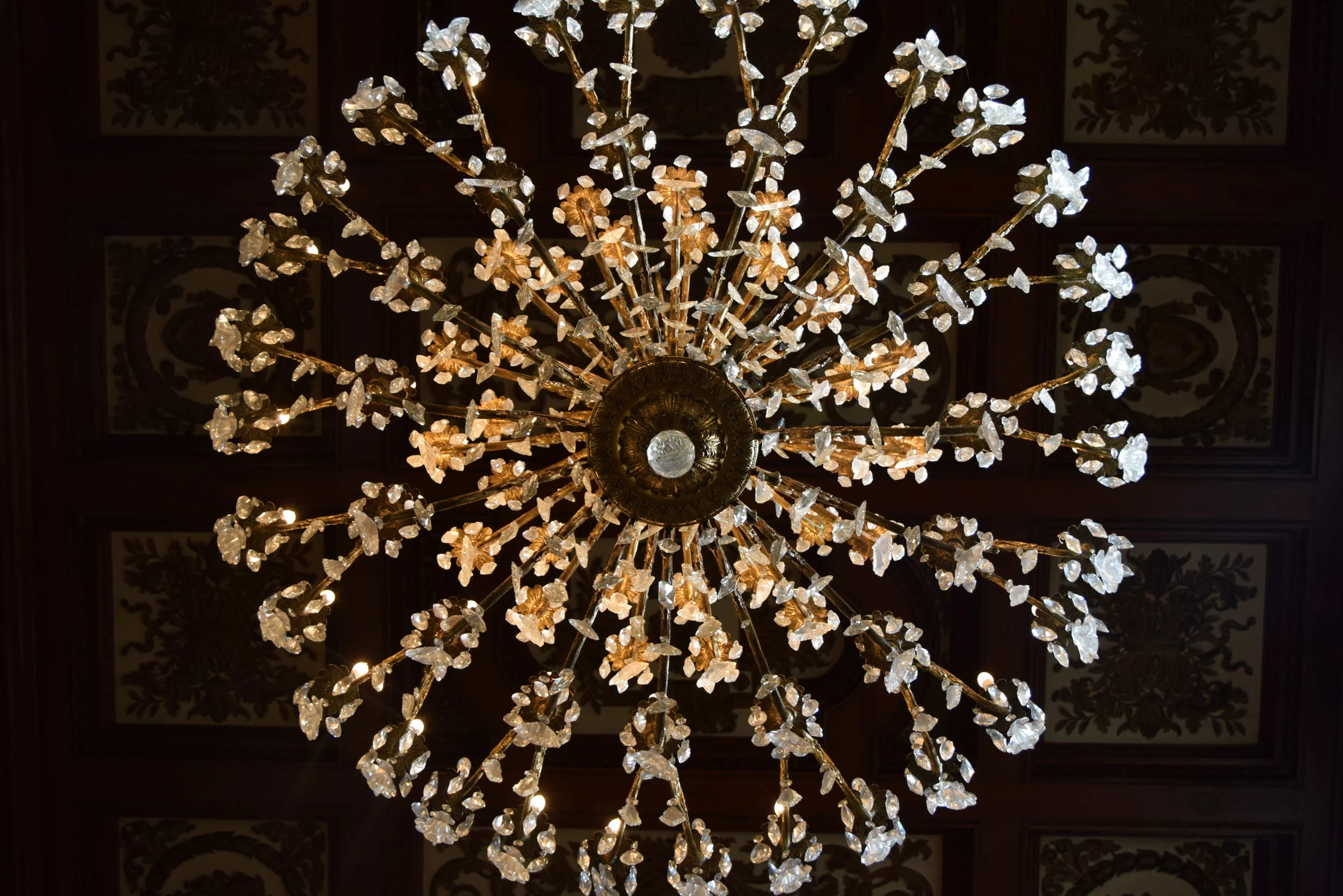 DSC_0119.JPG