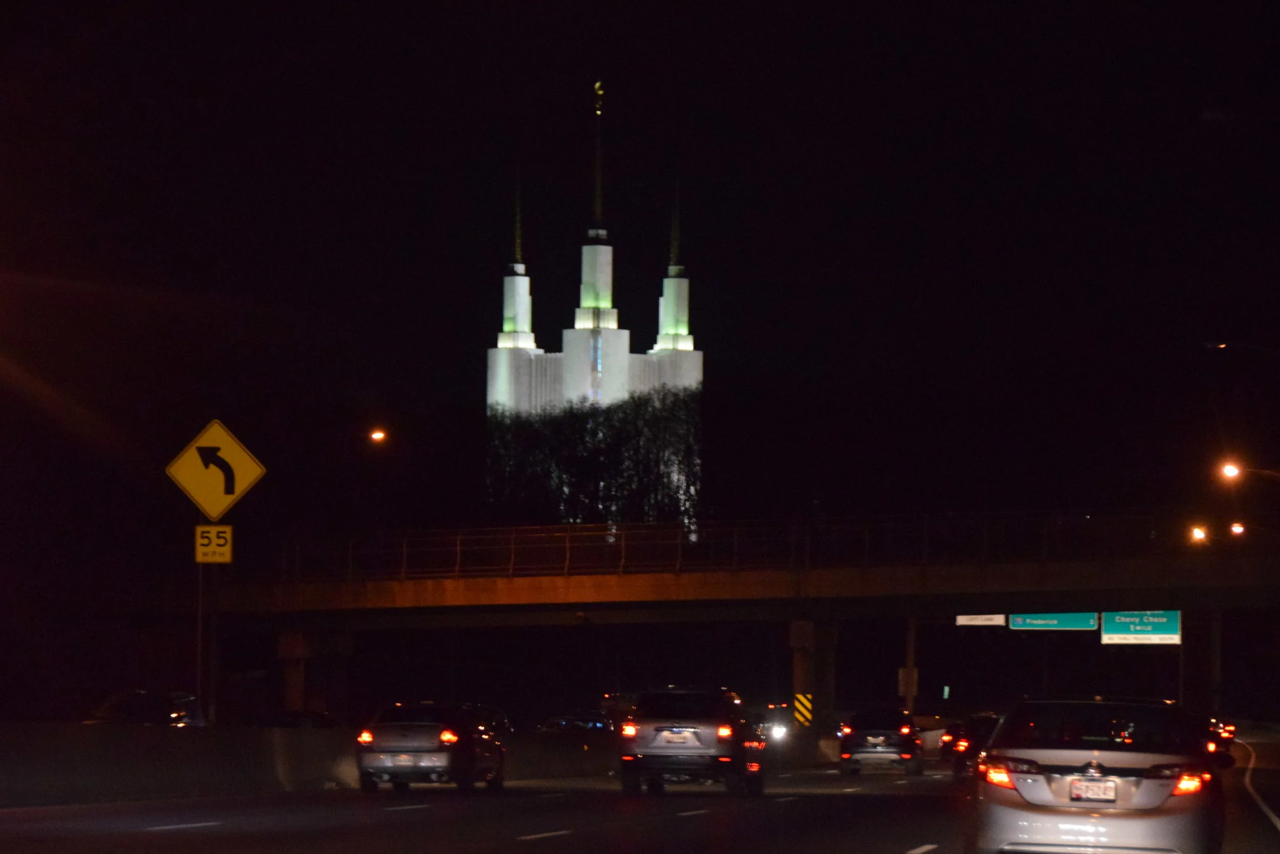 DSC_0502.JPG