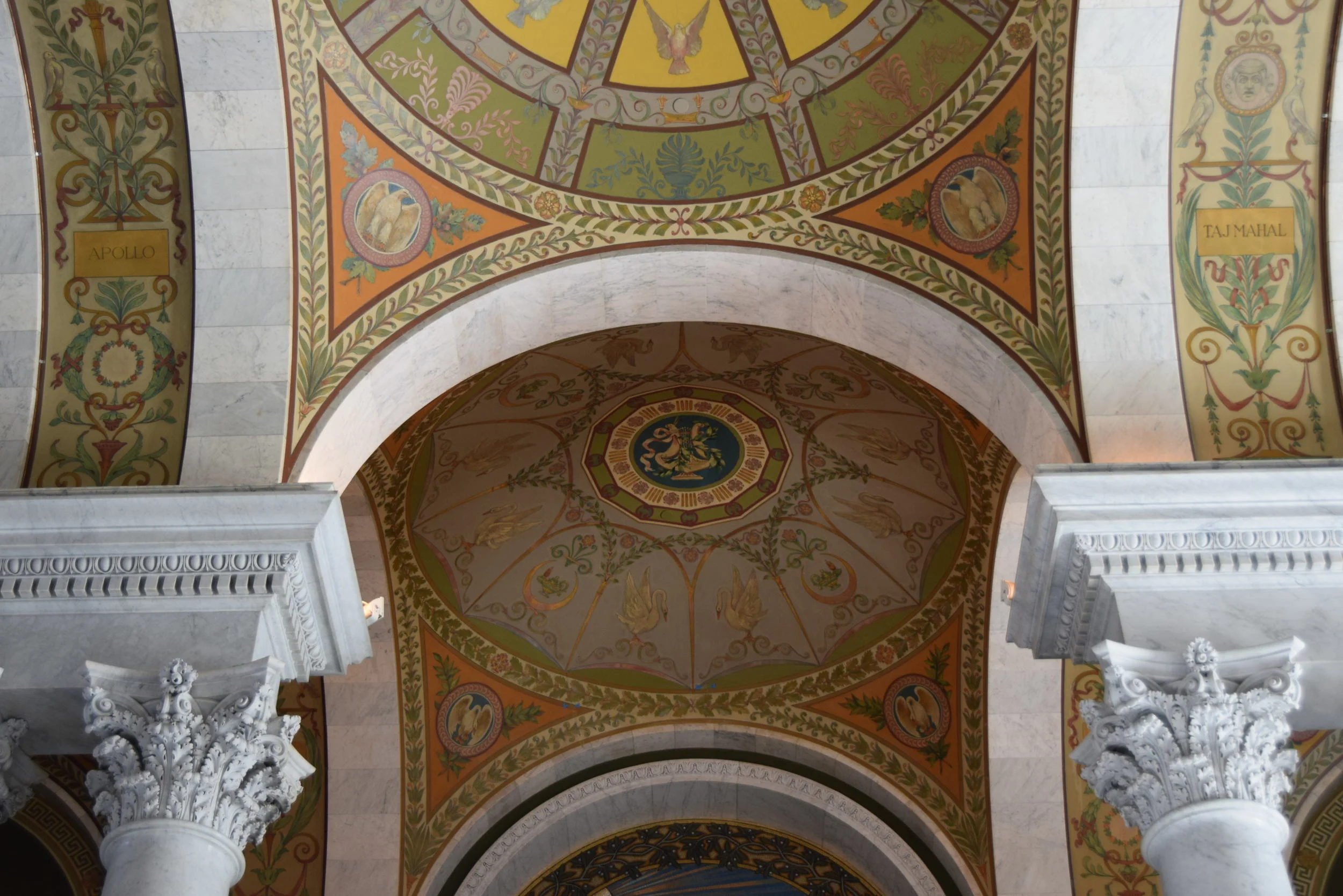 DSC_0502.JPG
