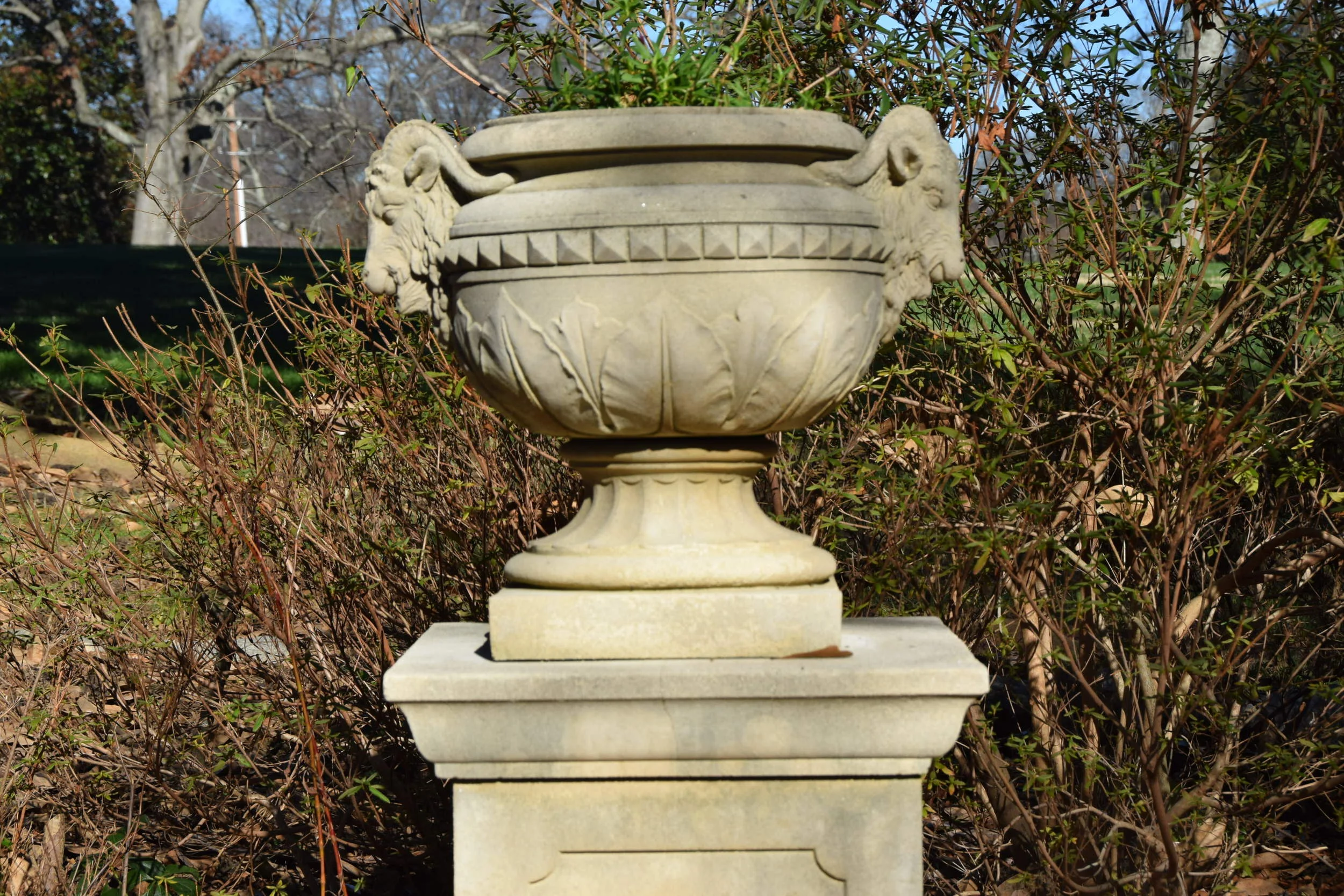 DSC_0019.JPG