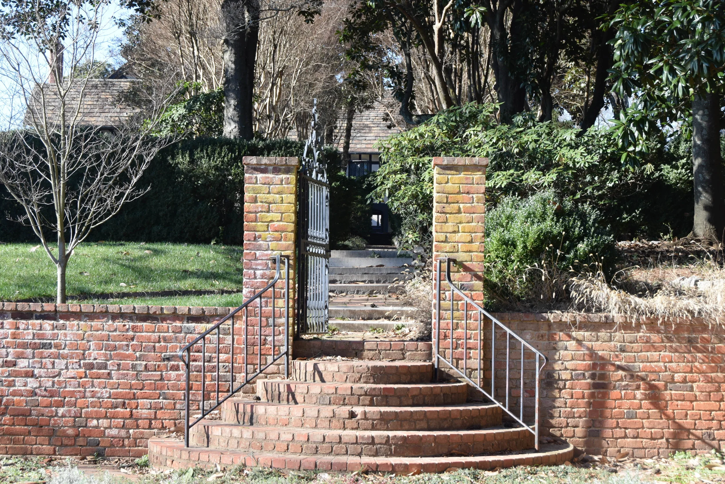 DSC_0024.JPG