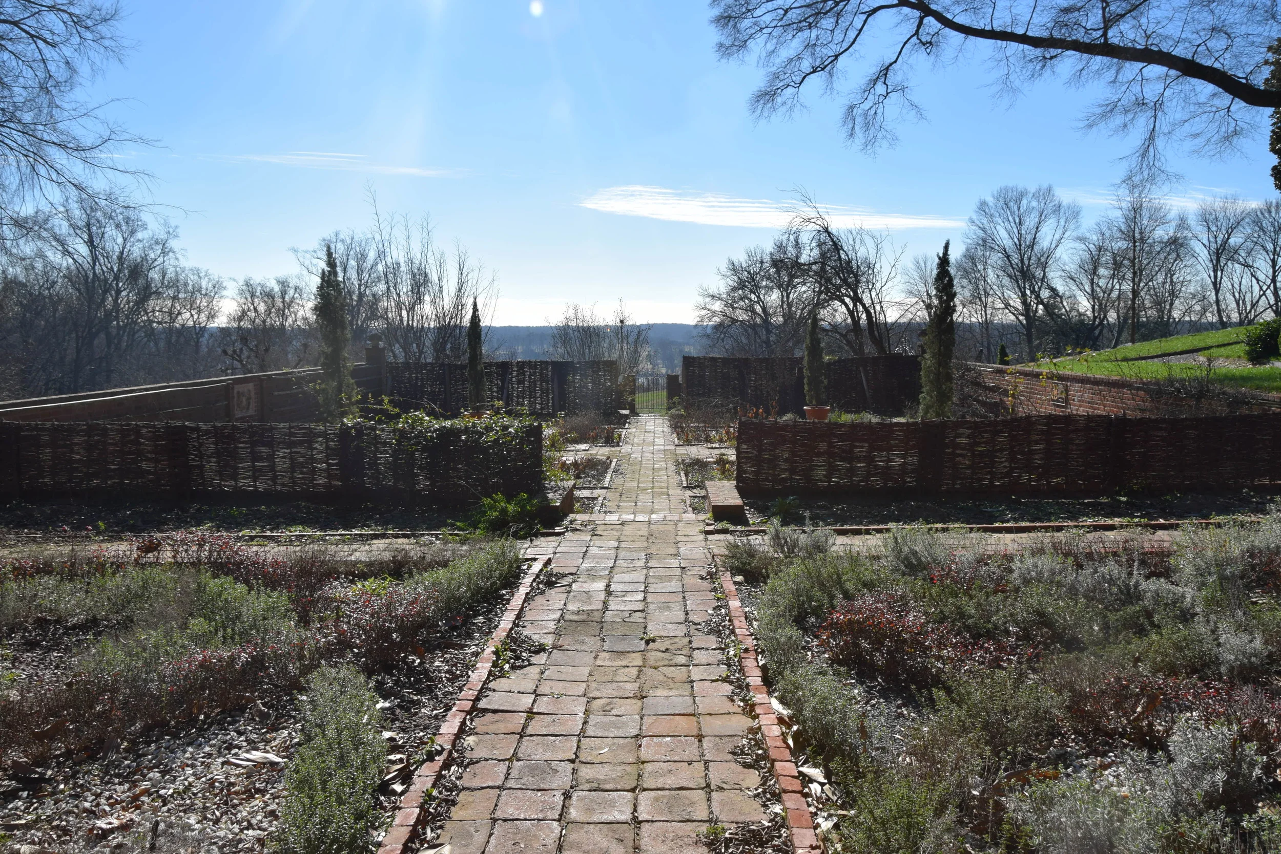 DSC_0027.JPG