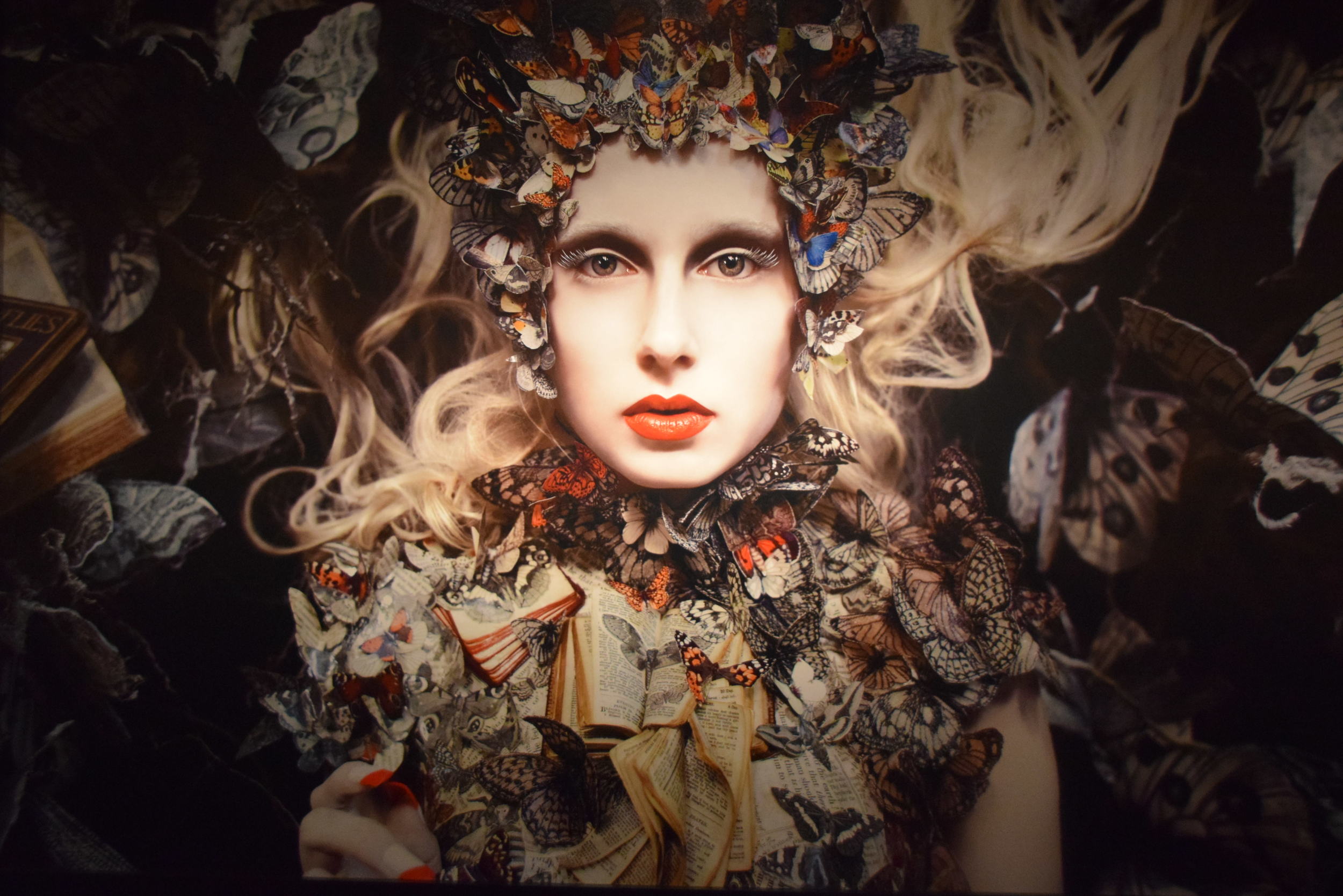 Kristy Mitchell, "the Ghost Swift, 2012