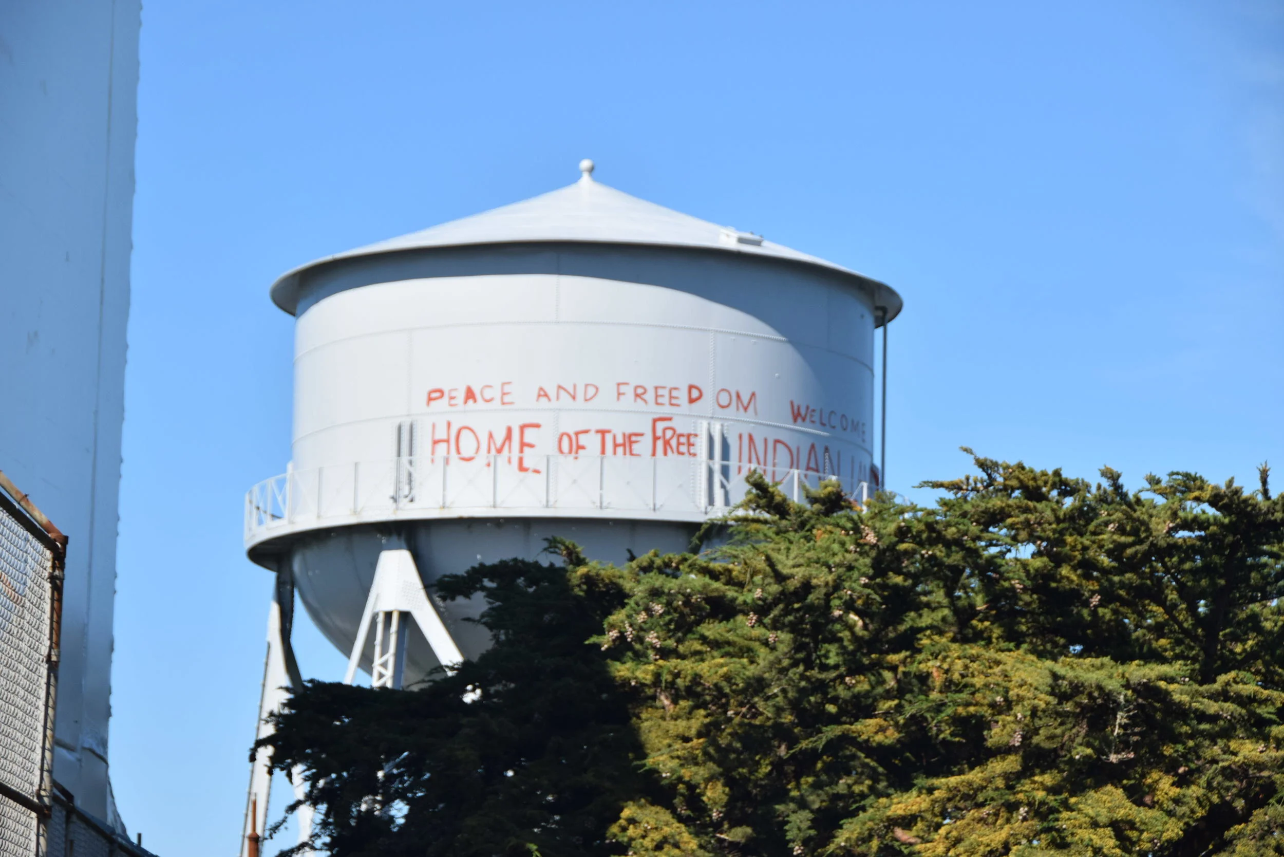 DSC_0219.JPG