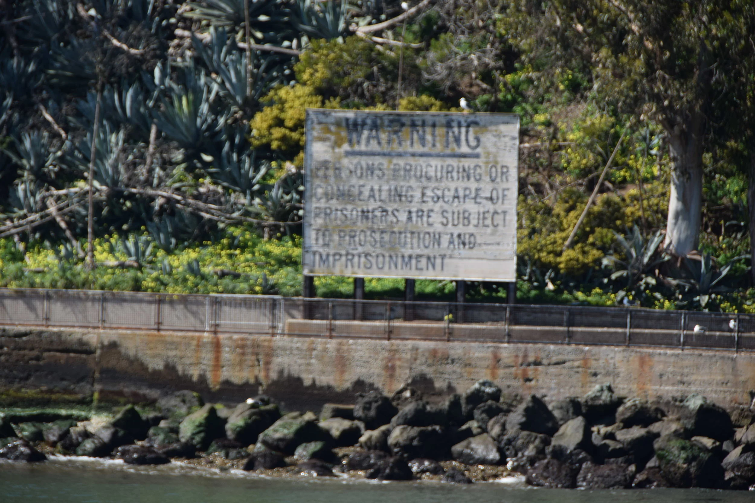 DSC_0265.JPG