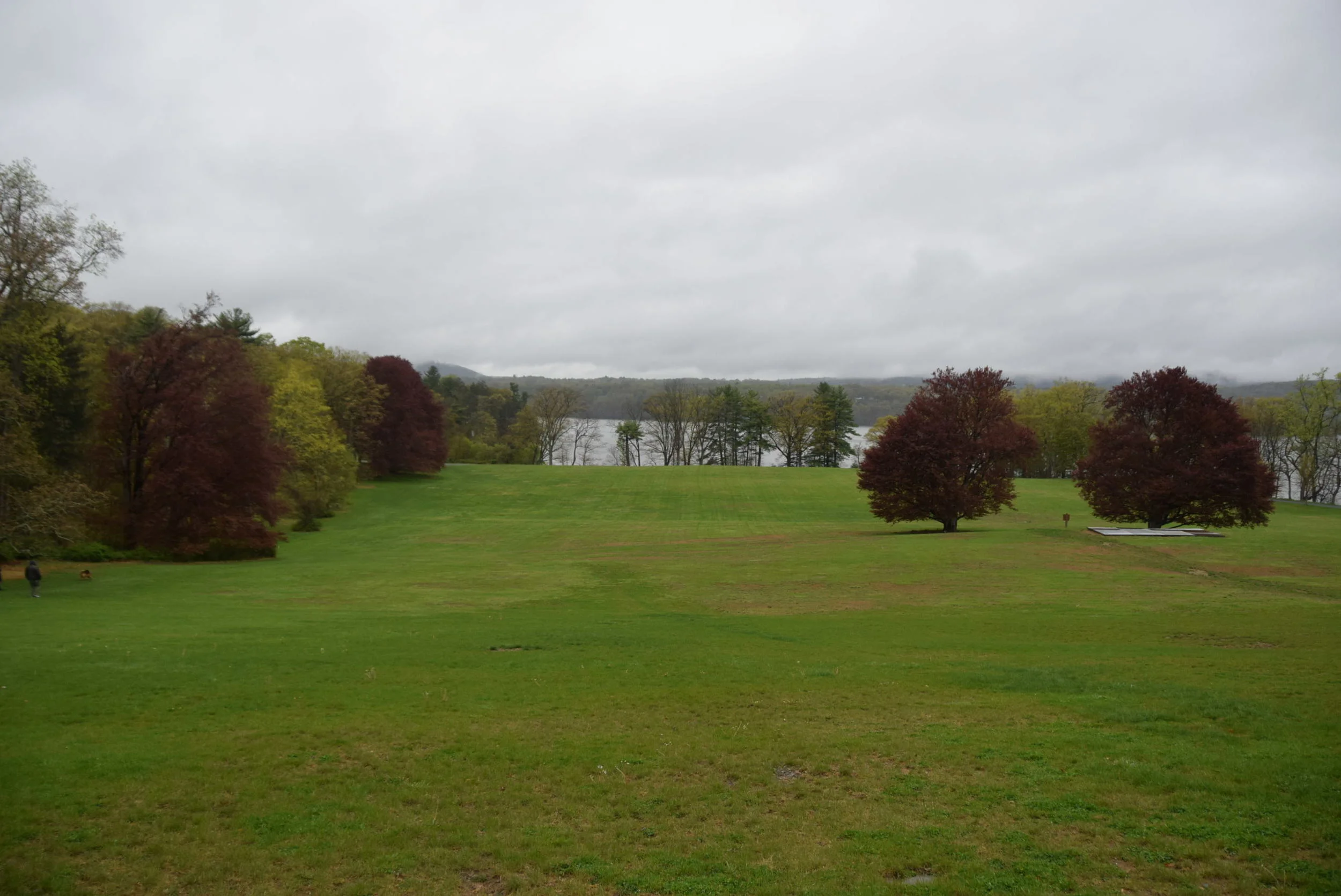 DSC_0712.JPG