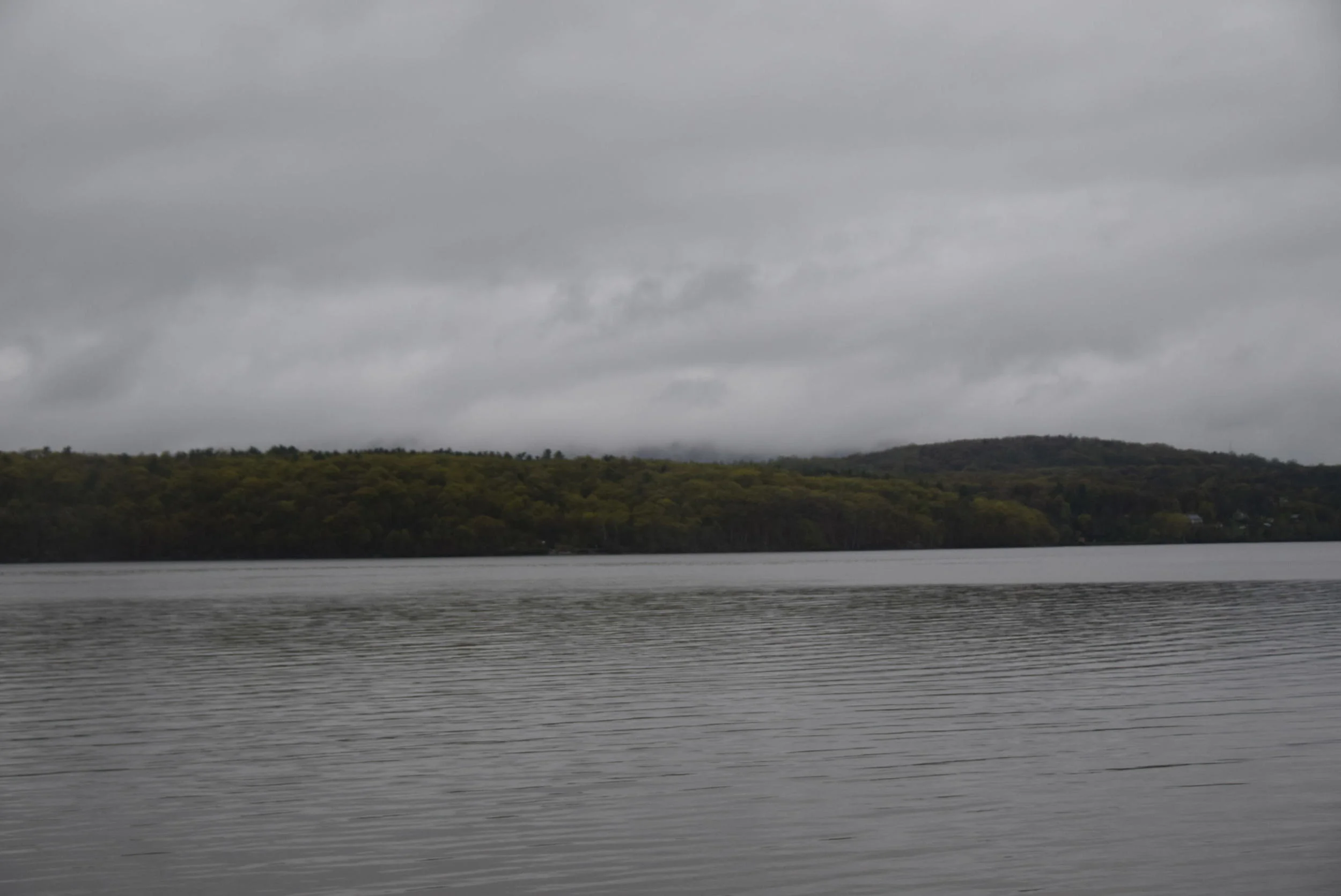DSC_0733.JPG