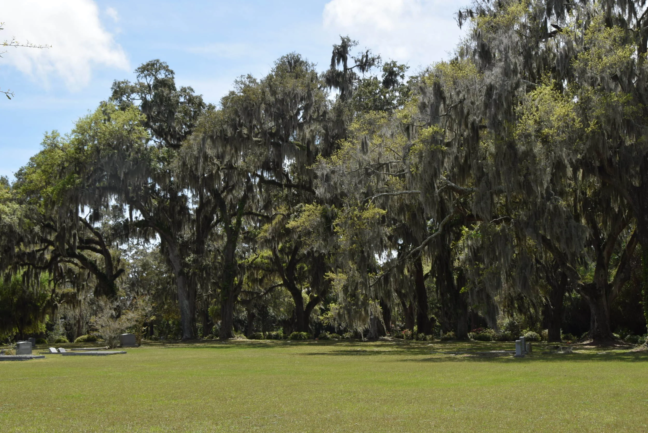 DSC_0336.JPG
