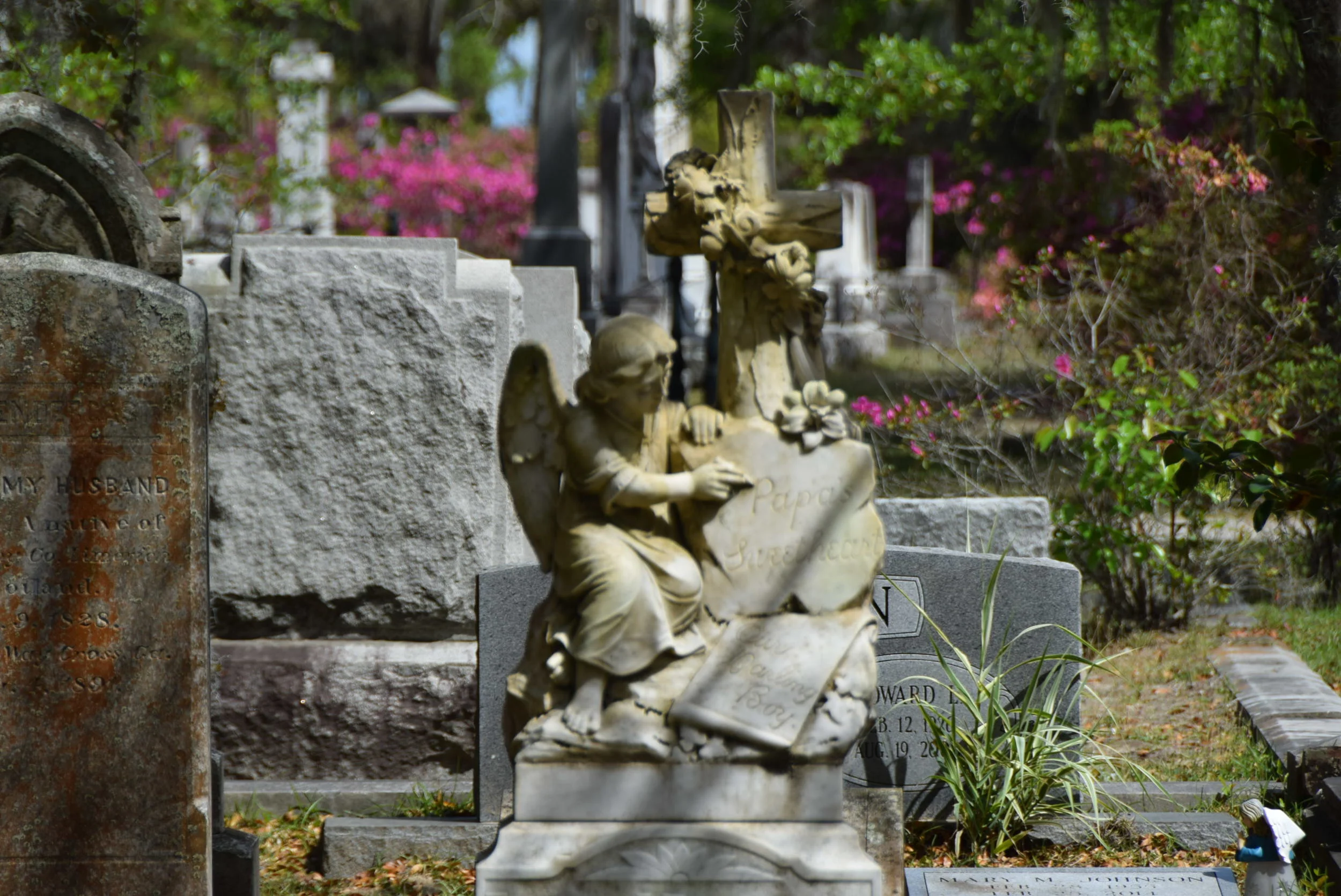 DSC_0399.JPG
