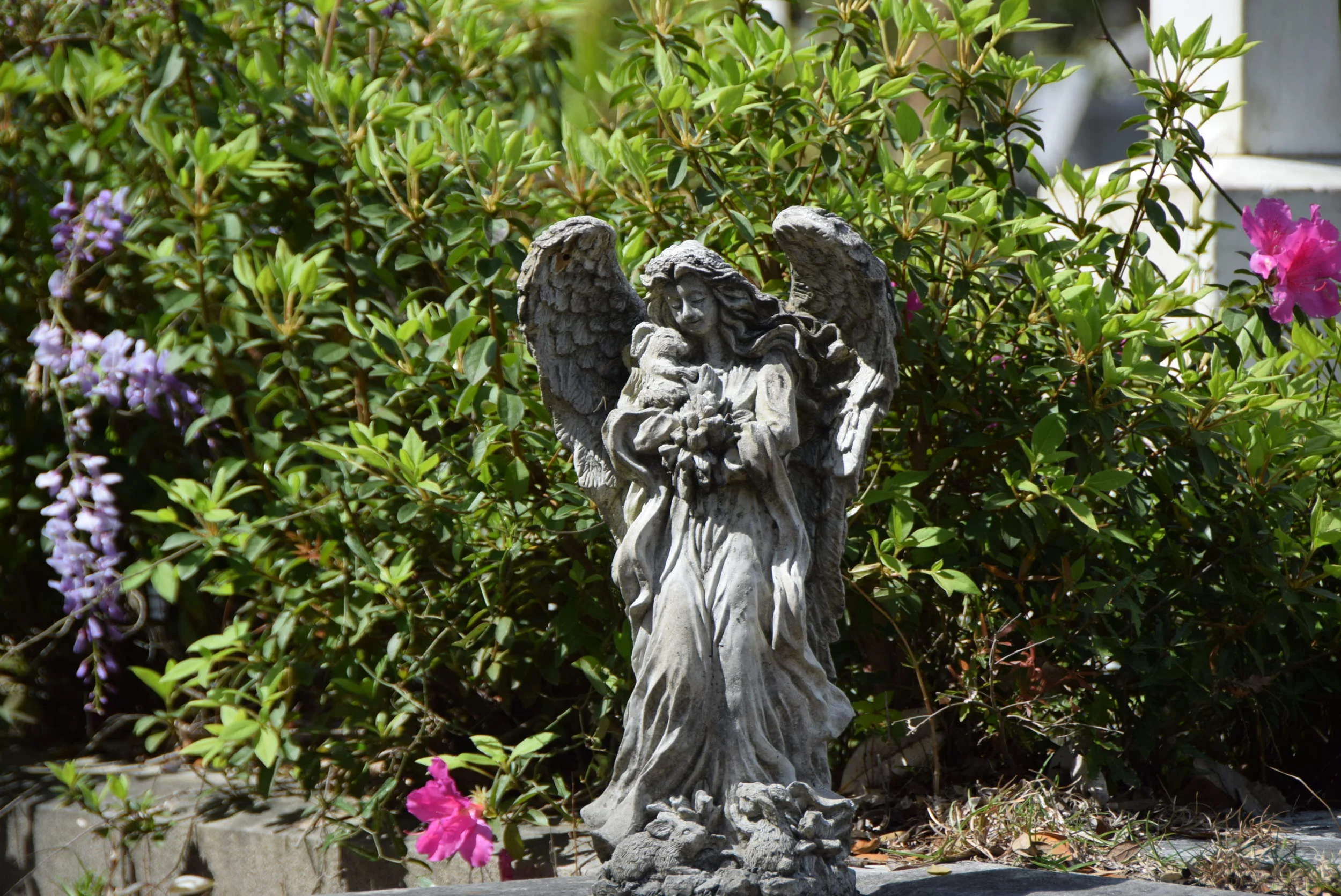 DSC_0405.JPG